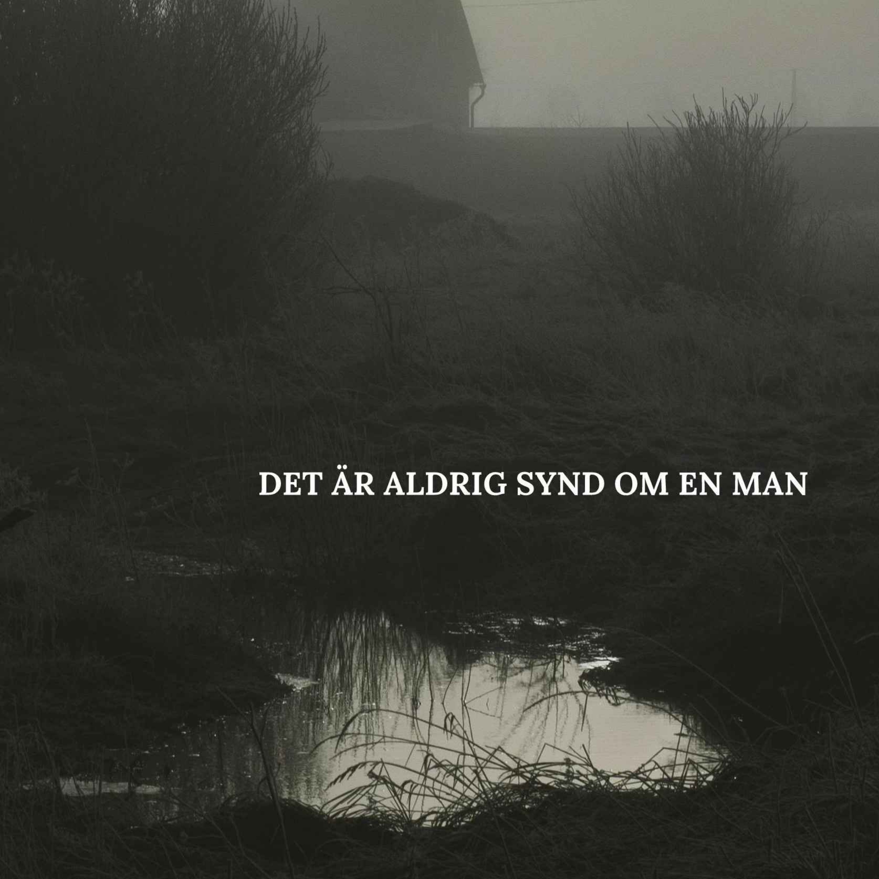 "Svårt att upprätthålla illusioner om meningen i mitt liv" episode artwork