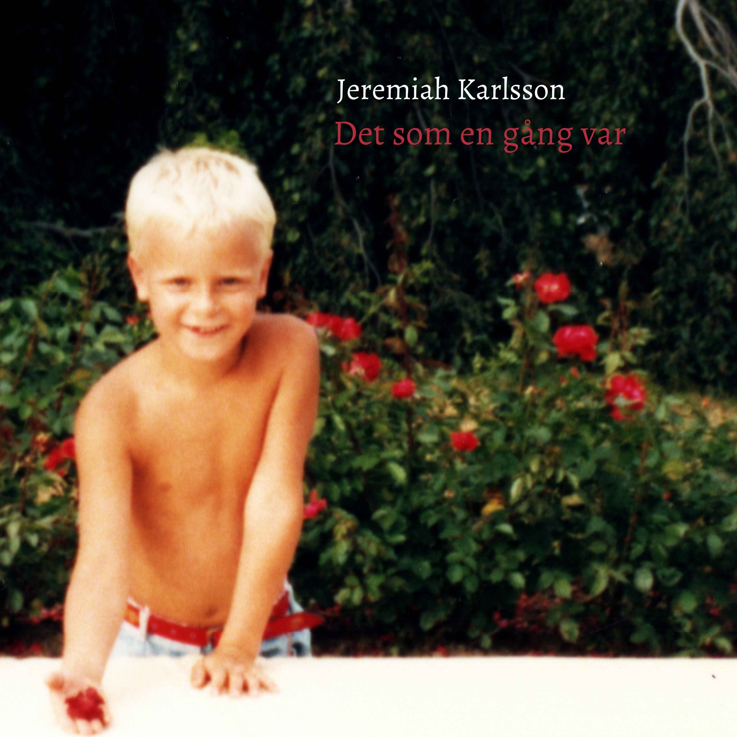 En natt vaknar han plötsligt som stjärnskott episode artwork