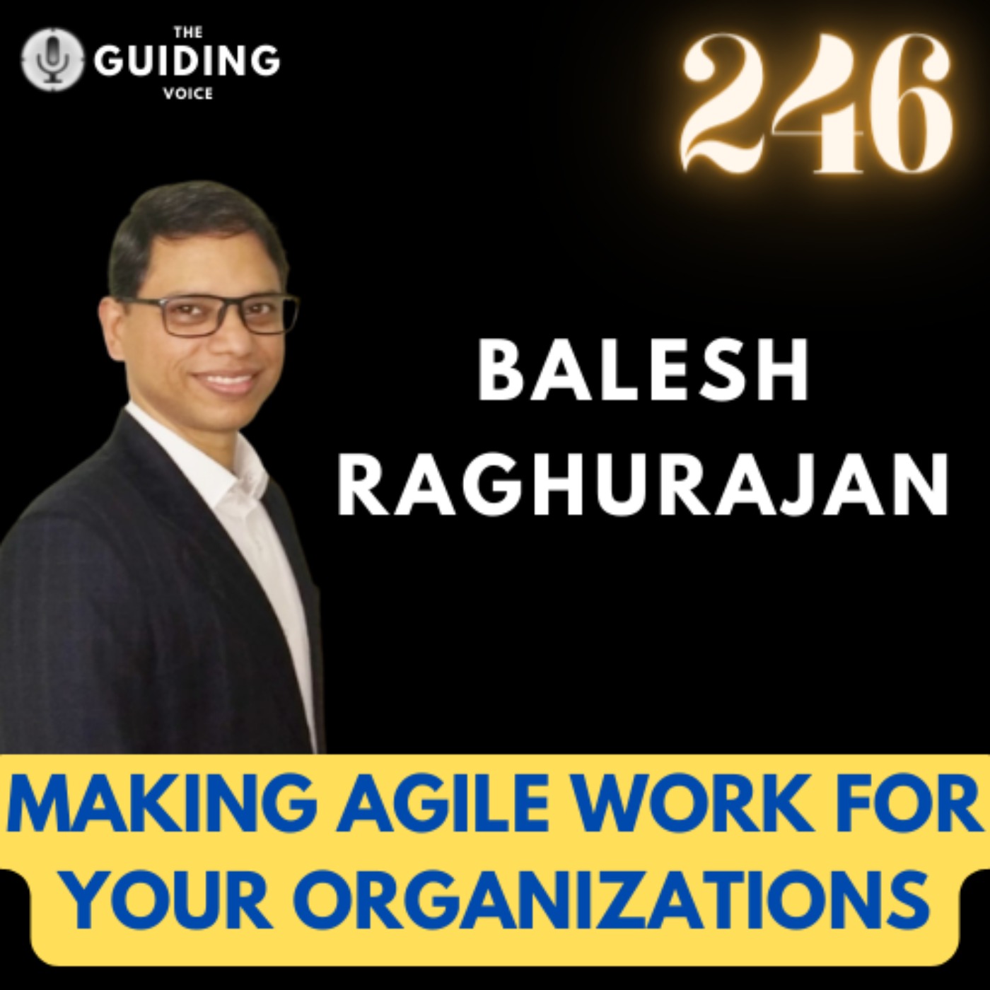 Making Agile work for your Organizations | Balesh Raghurajan | #TGV246