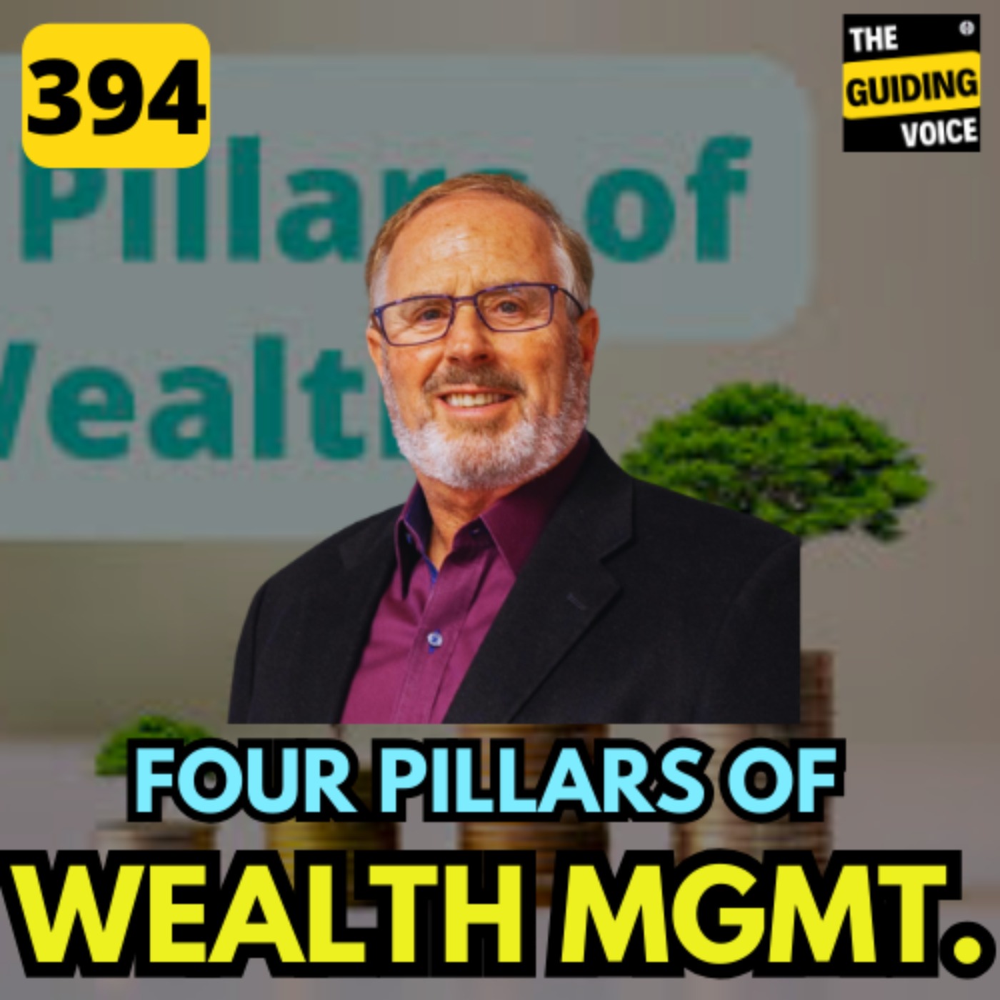 4 Pillars of Wealth Management | Elliot Kallen | #TGV394