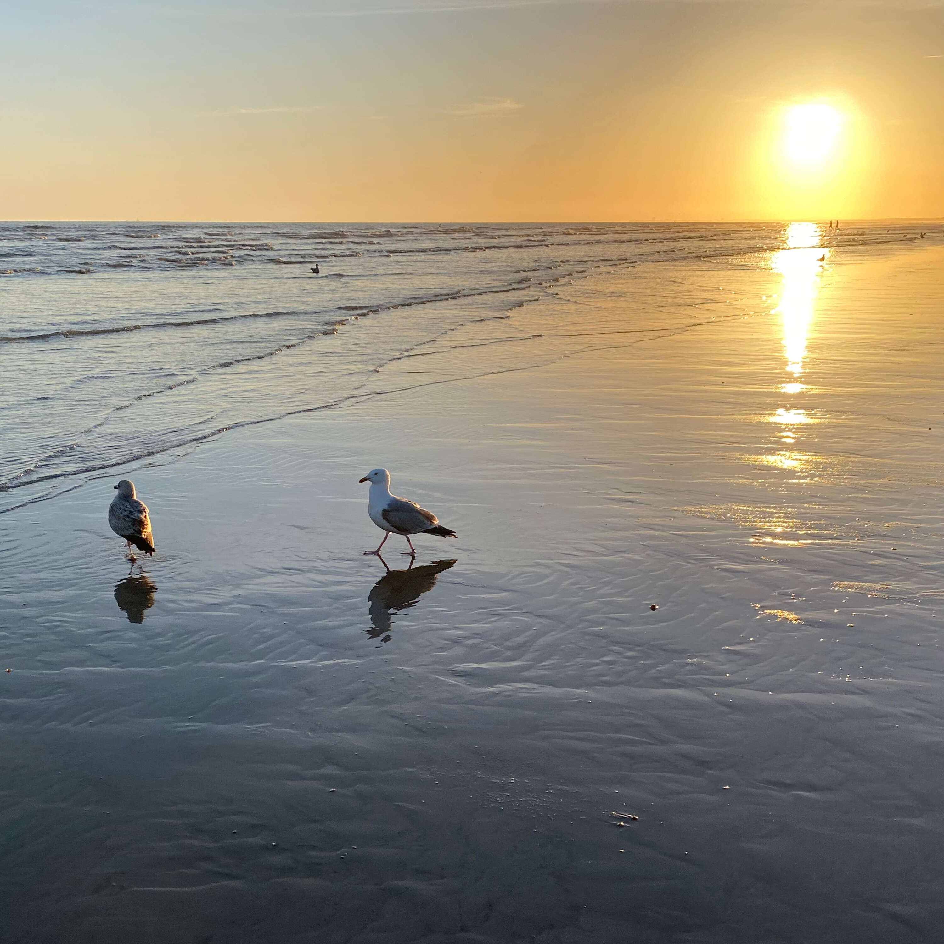 Relaxation on the Beach Episode 9