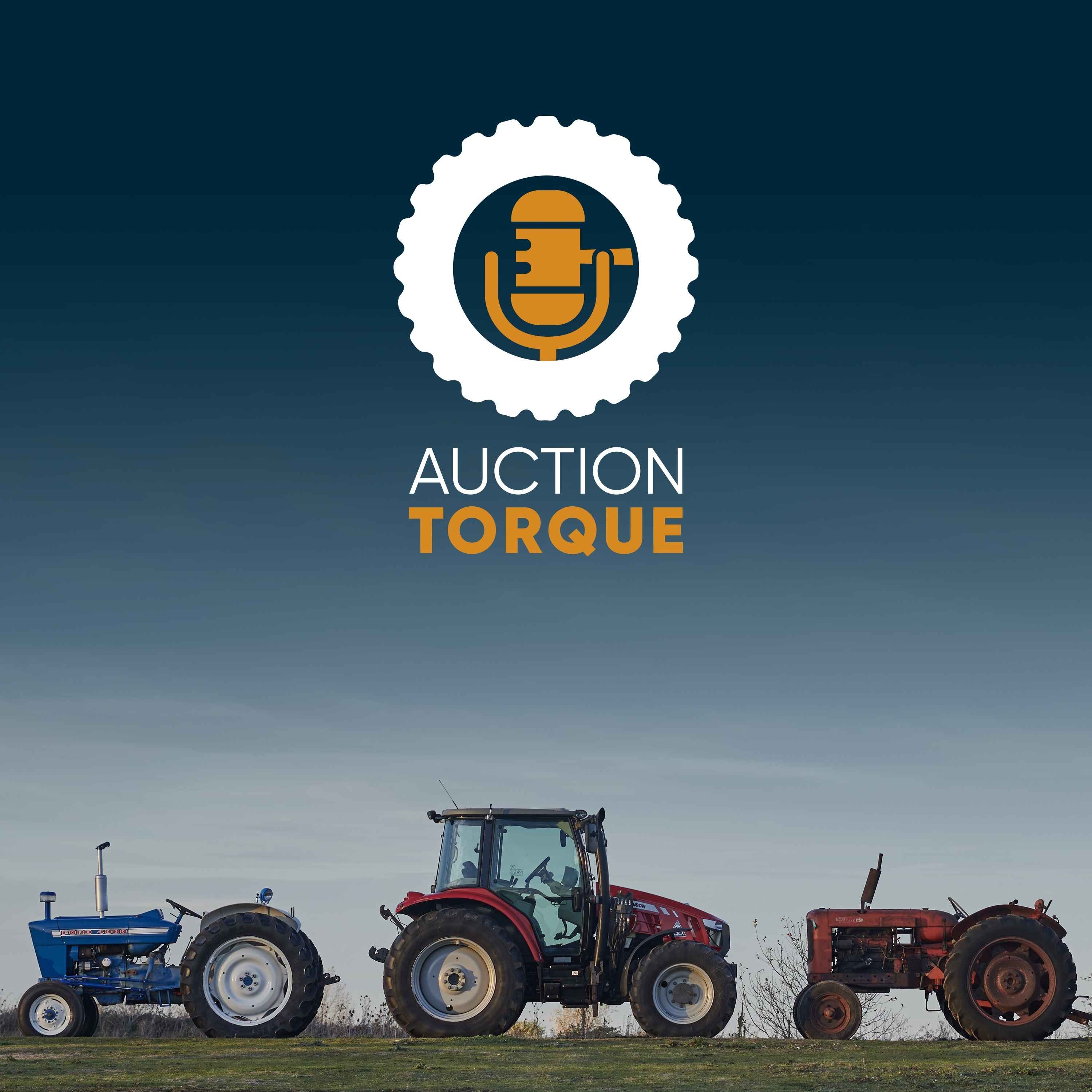 cover art for Auction Torque preview