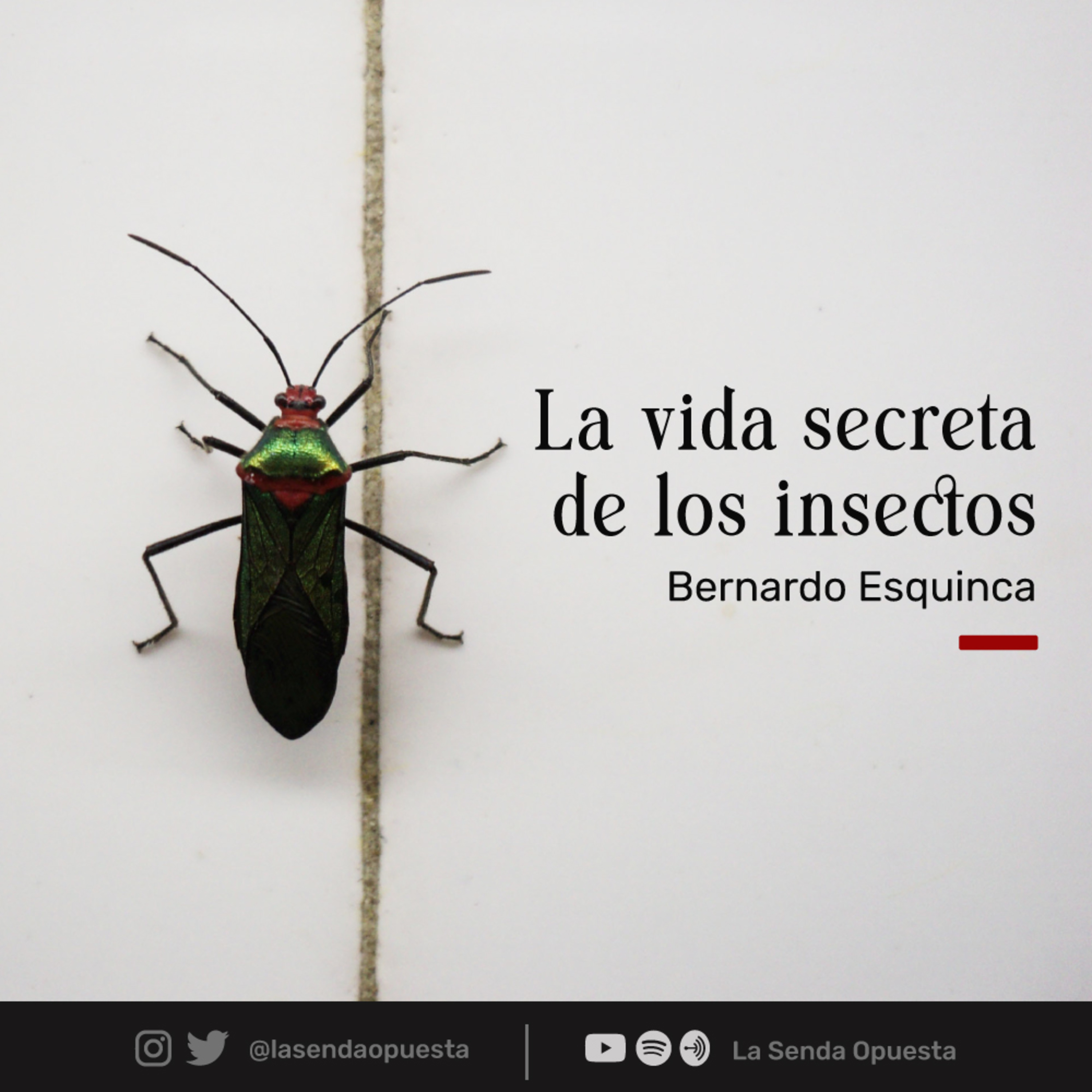 La Senda Opuesta