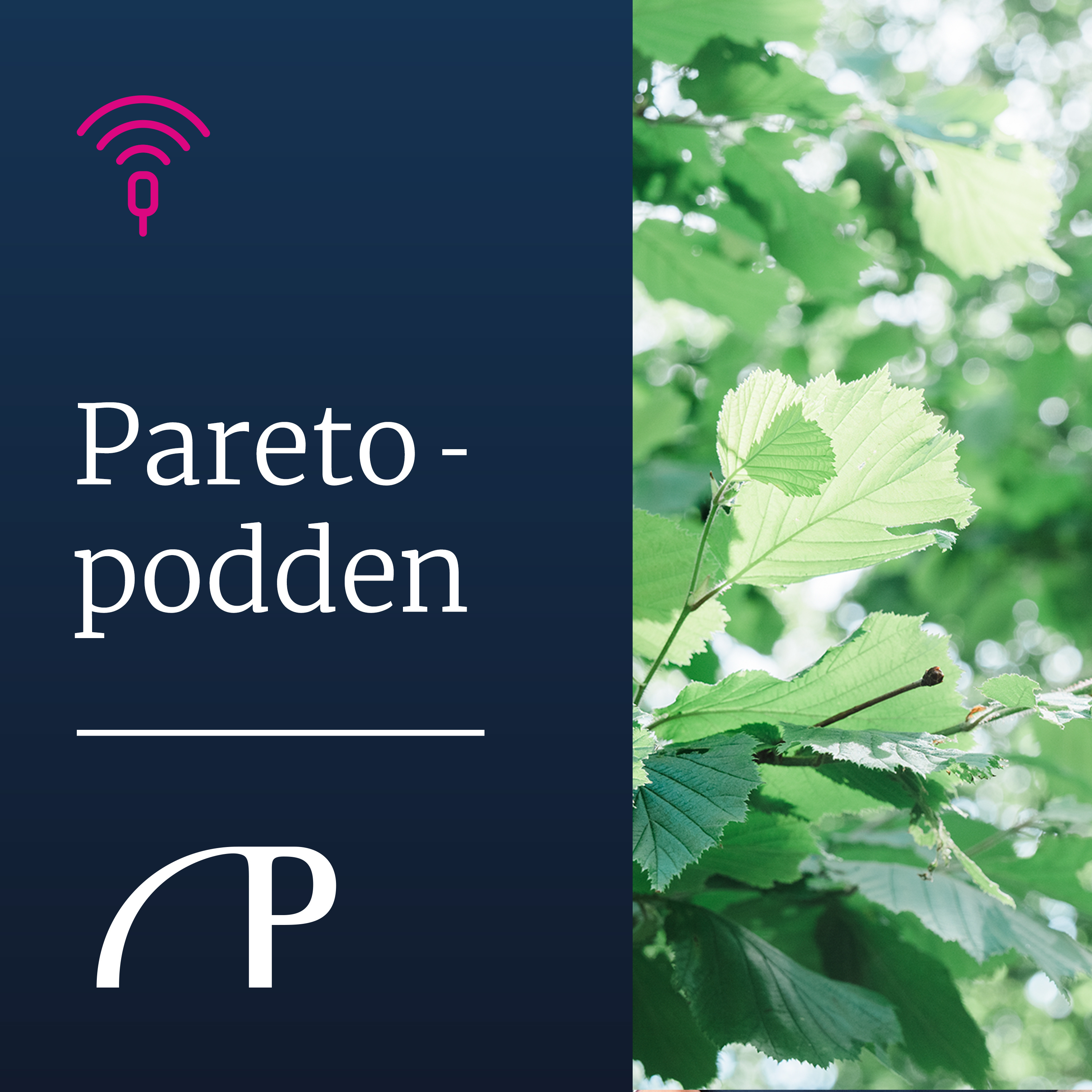 Paretopodden