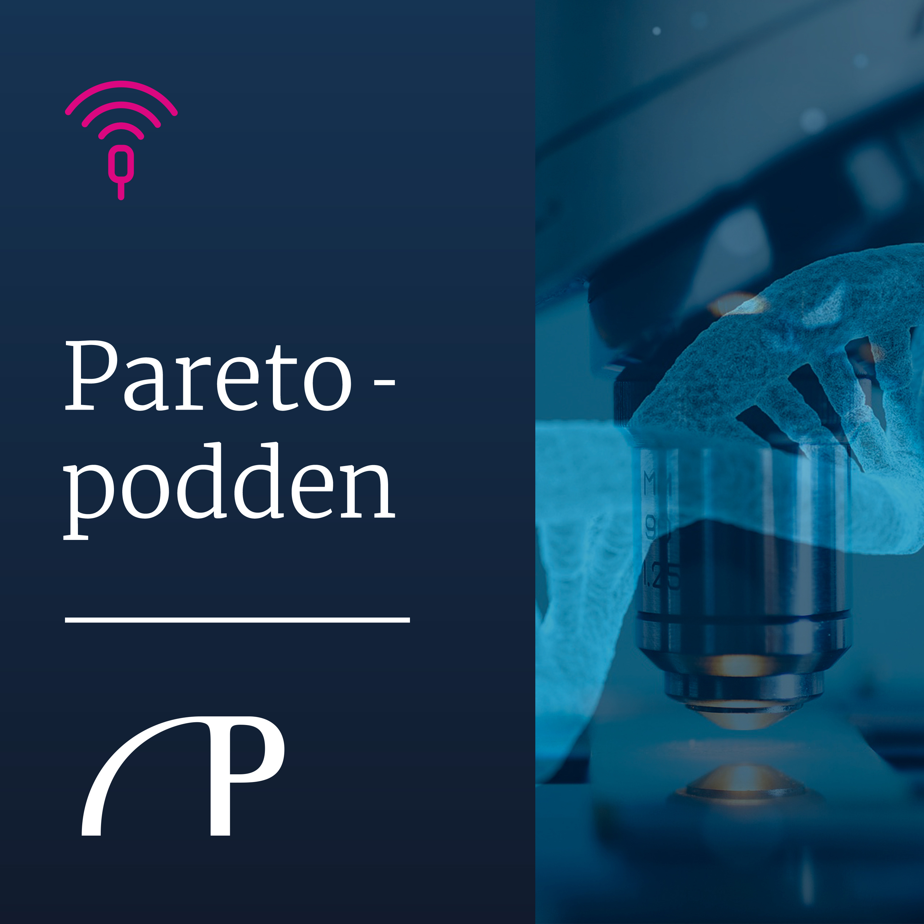 Paretopodden