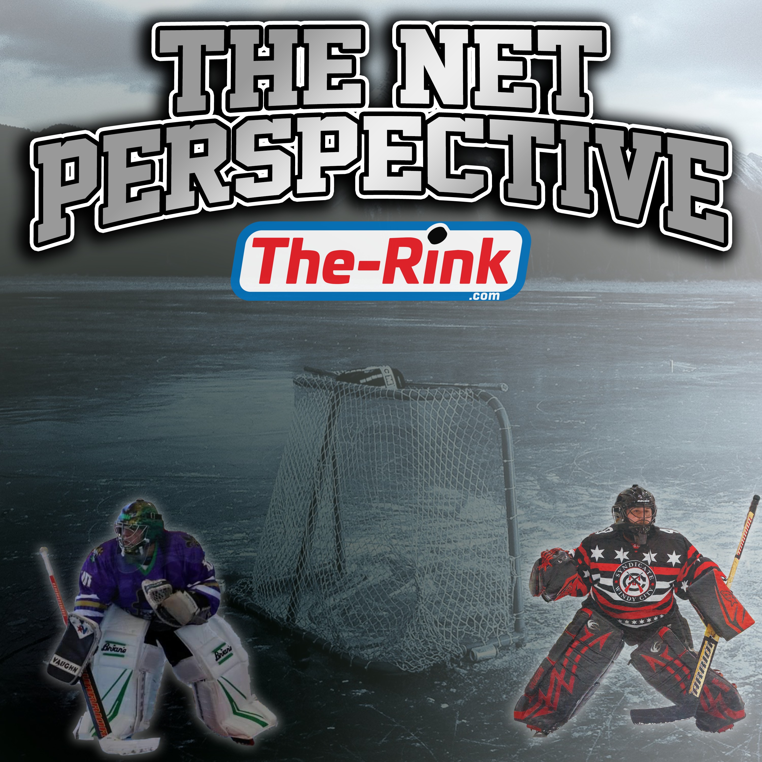 The Net Perspective