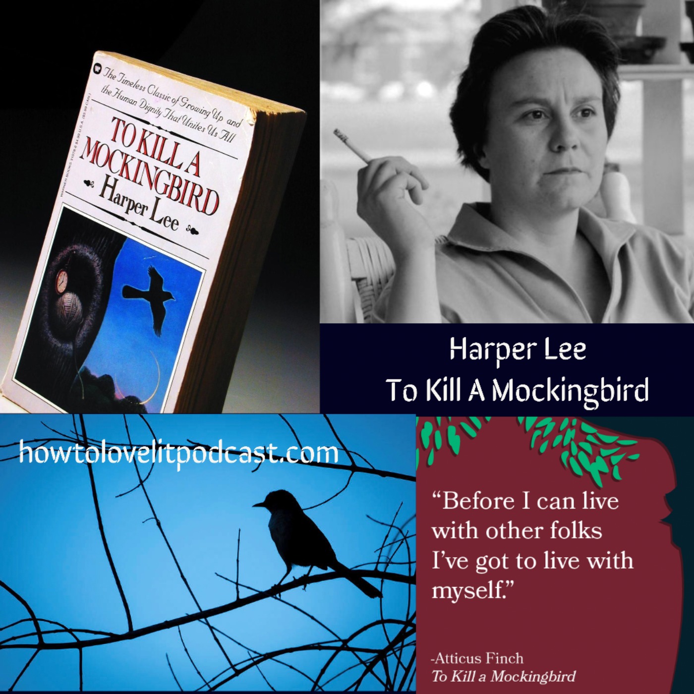 Harper Lee - To Kill A Mockingbird - Episode 3 - Real Life History Finds Its Way Into Tom Robinson's Trial