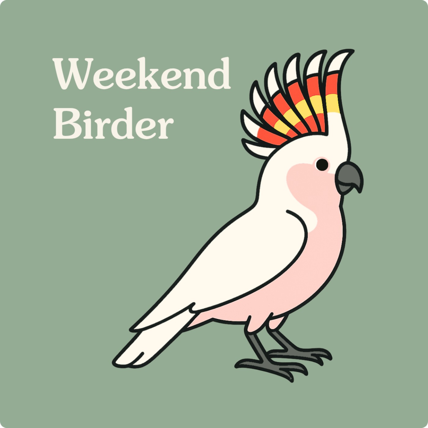 Birds that Connect Us - with Amanda