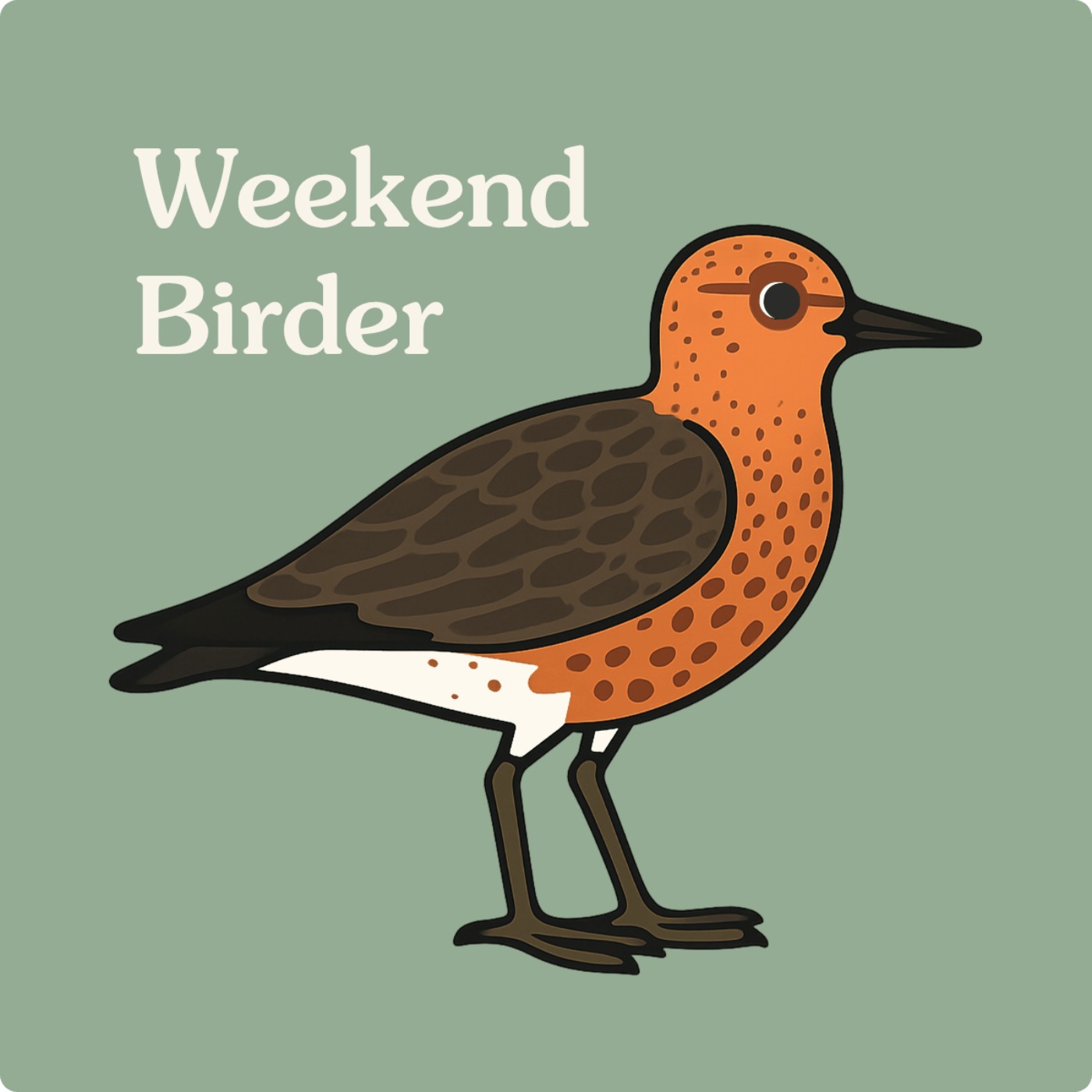 115 Casual Birding - with Suzy