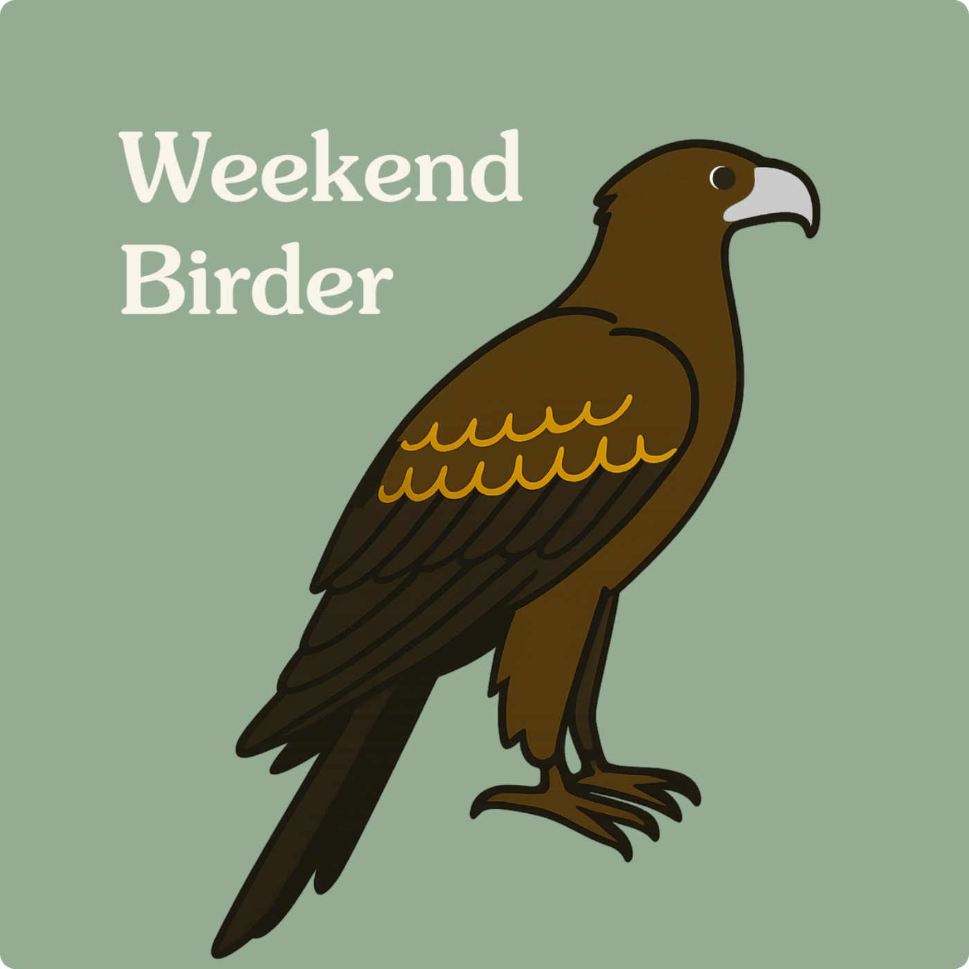 114 Bird of Prey Q&A - with Steve