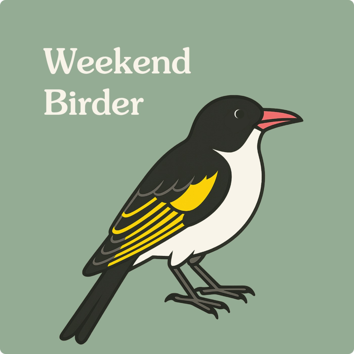 112 Bird Videos - with Scot