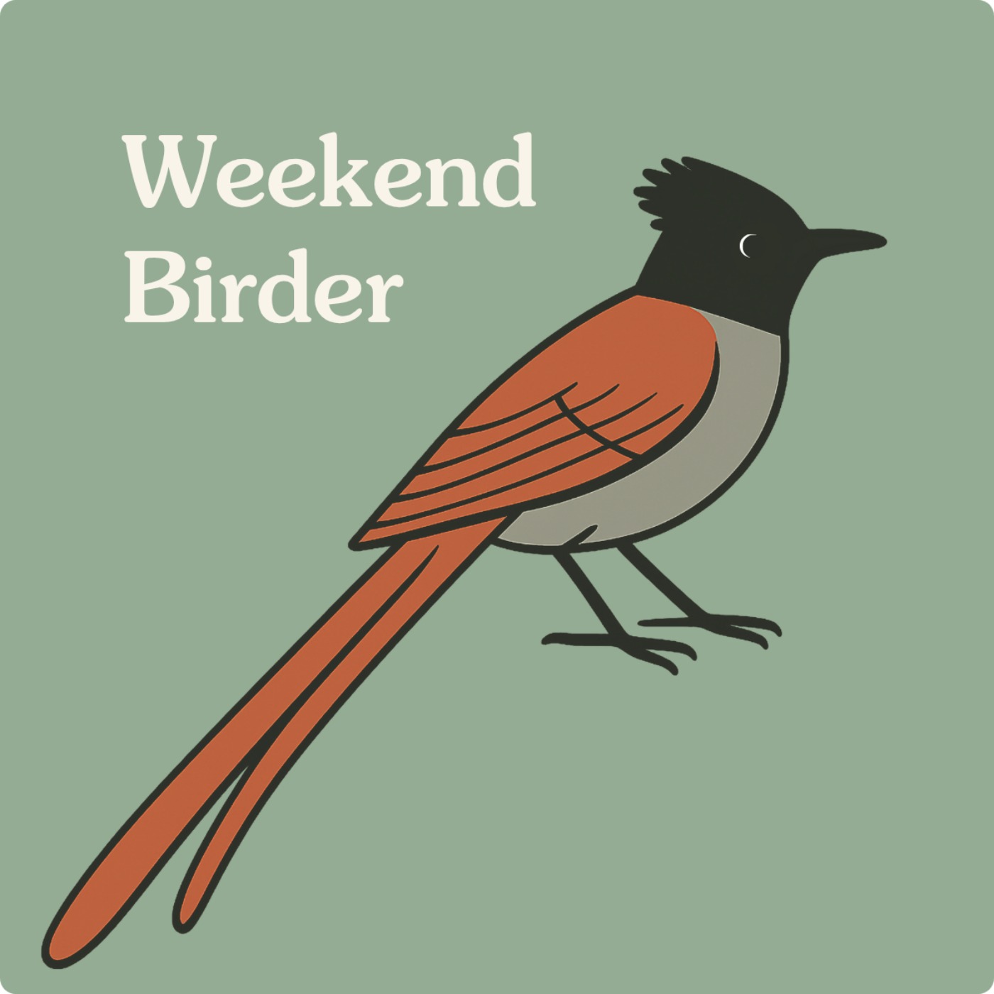 102 Birds and Music - with Ruby