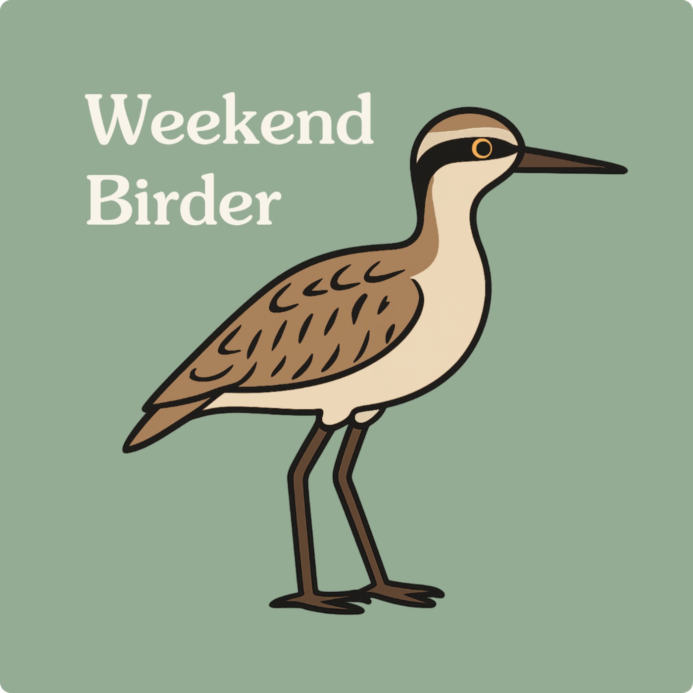 98 Bush Stone-curlews - with Paula