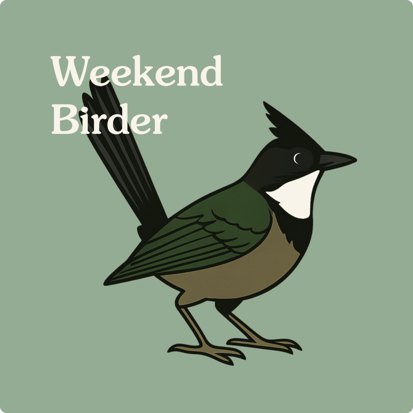 Weekend Birder