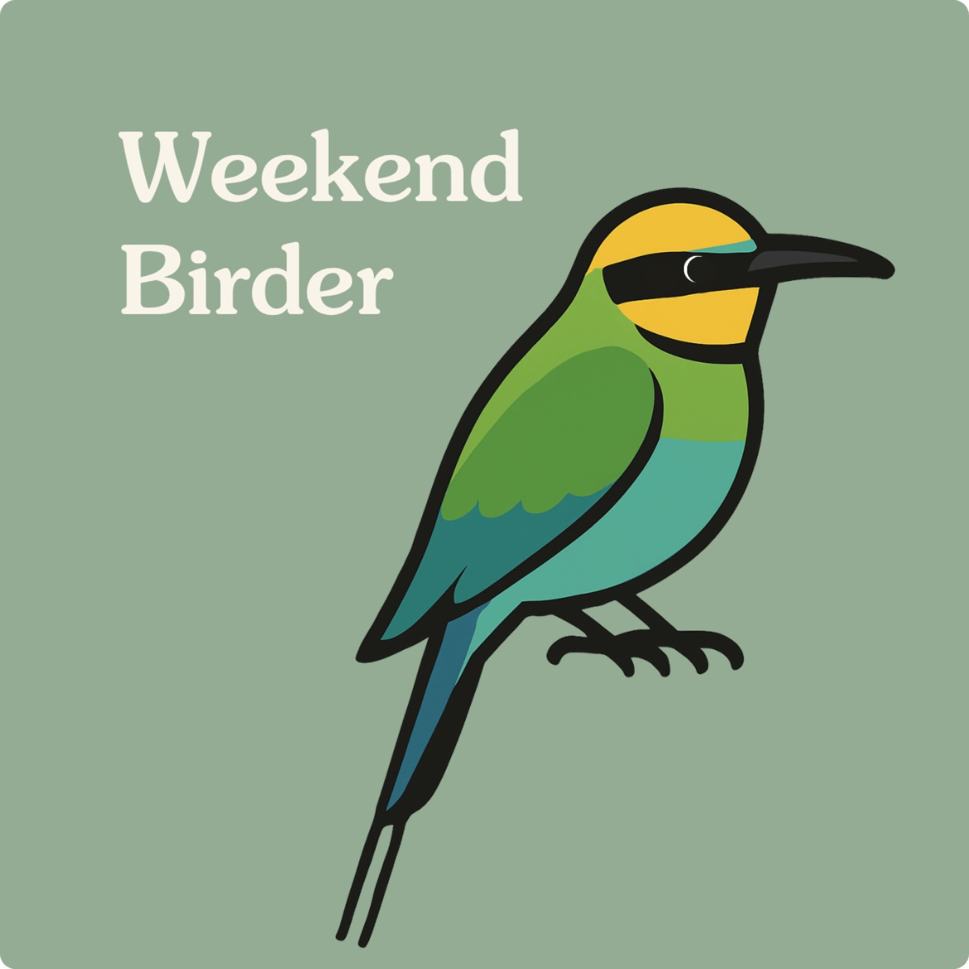 45 Birds, Trees and Rainbow Bee-eaters - with Stephanie
