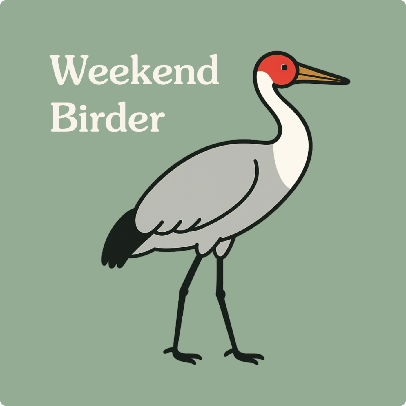34 Brolgas and Sarus Cranes - with Ed