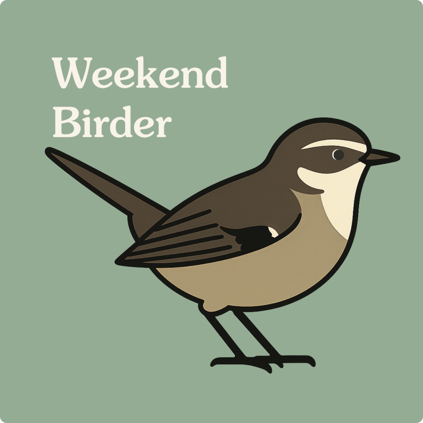 26 Bush Birds - with Bridget