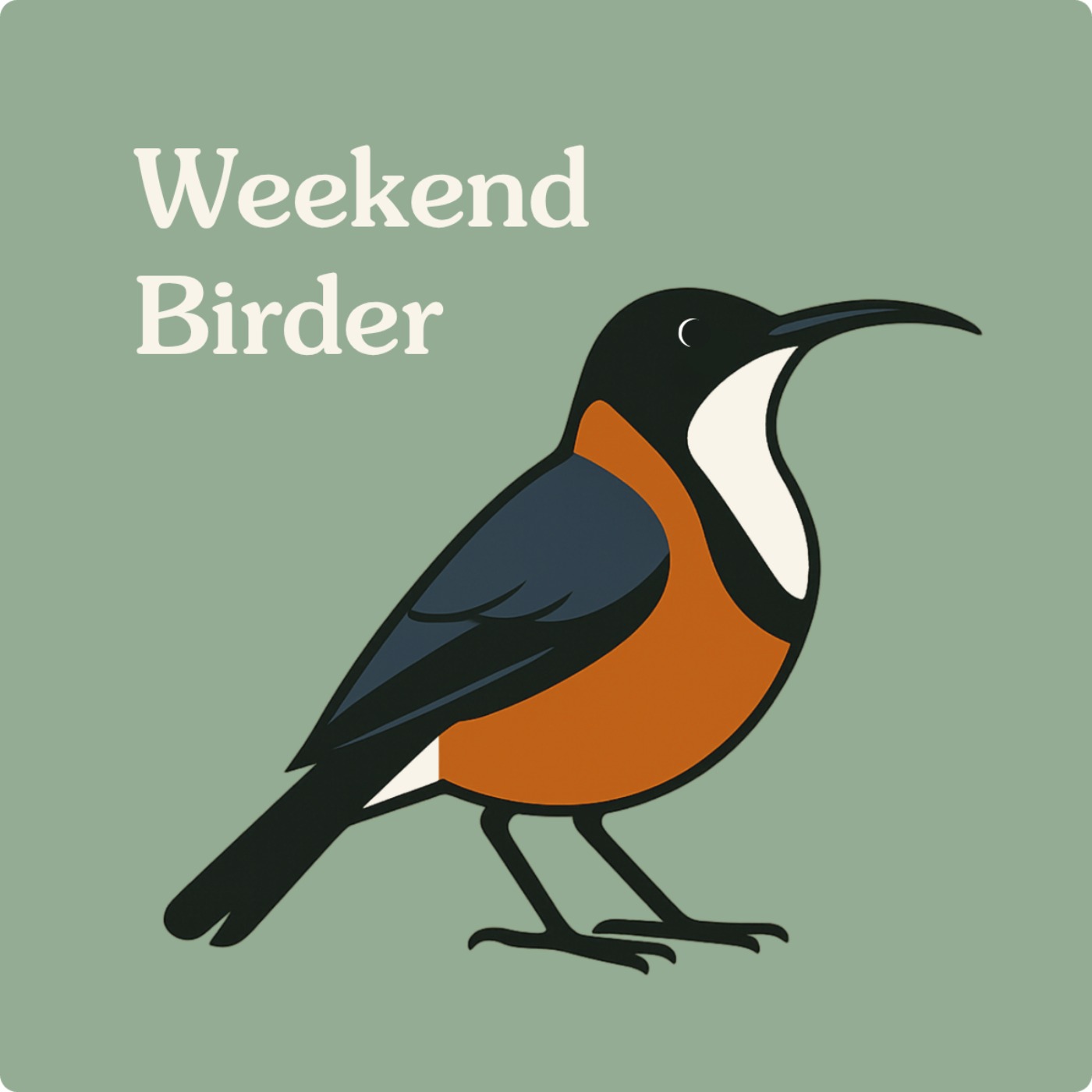 24 Urban Birds and Optimism - with Jacinta
