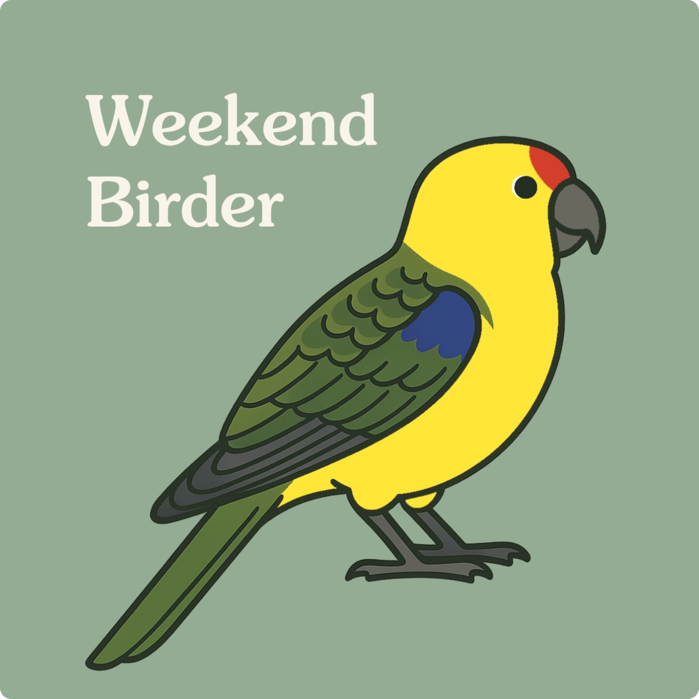 23 Bird Photography - with Coreena