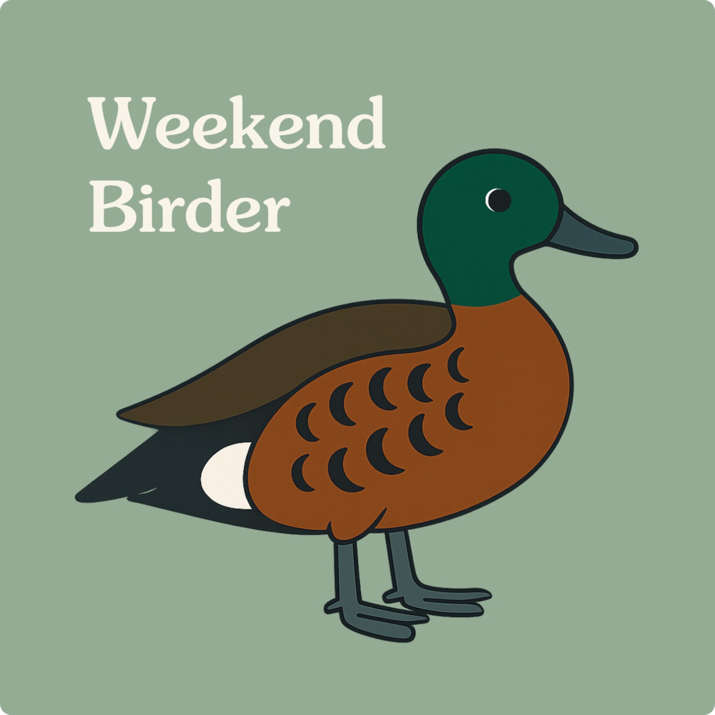 22 Darters, Teals and Grebes - with Kathie