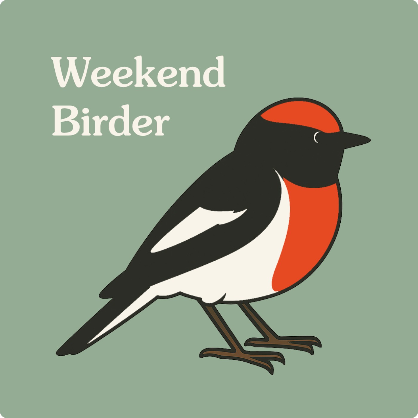 48 Australian Robins - with Hugh