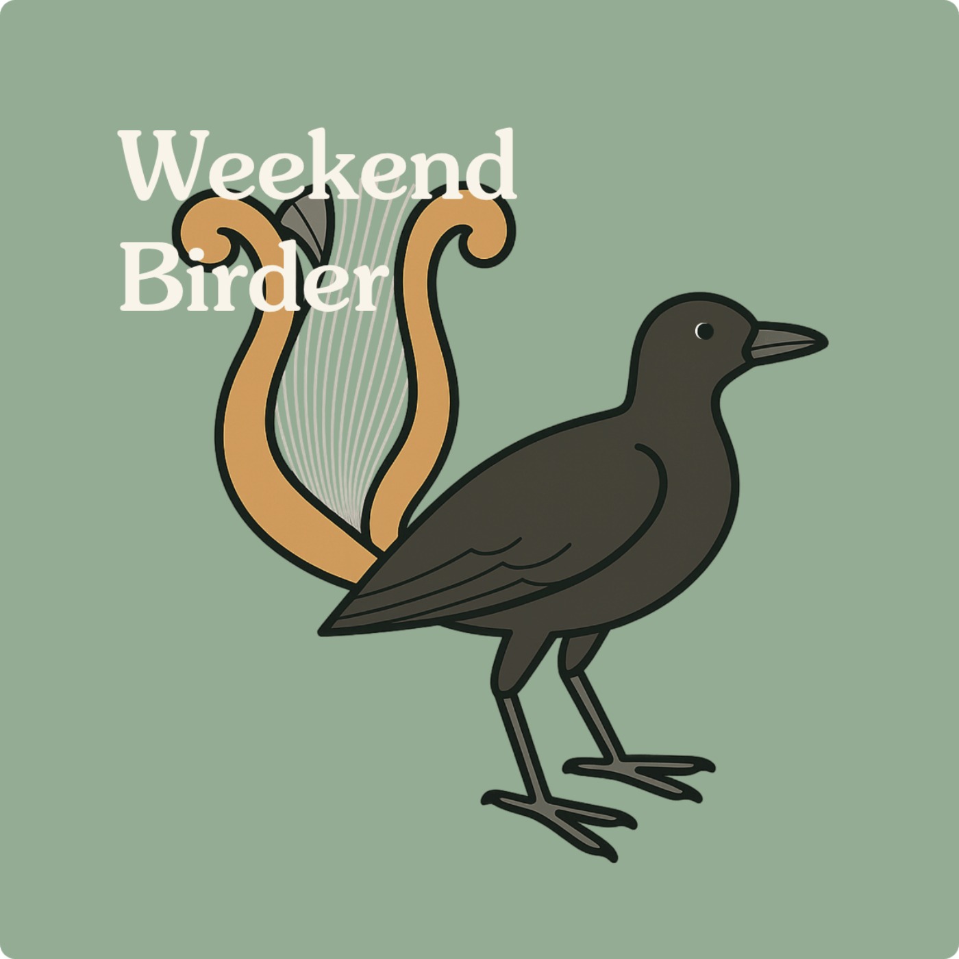16 Superb Lyrebirds - with Alex