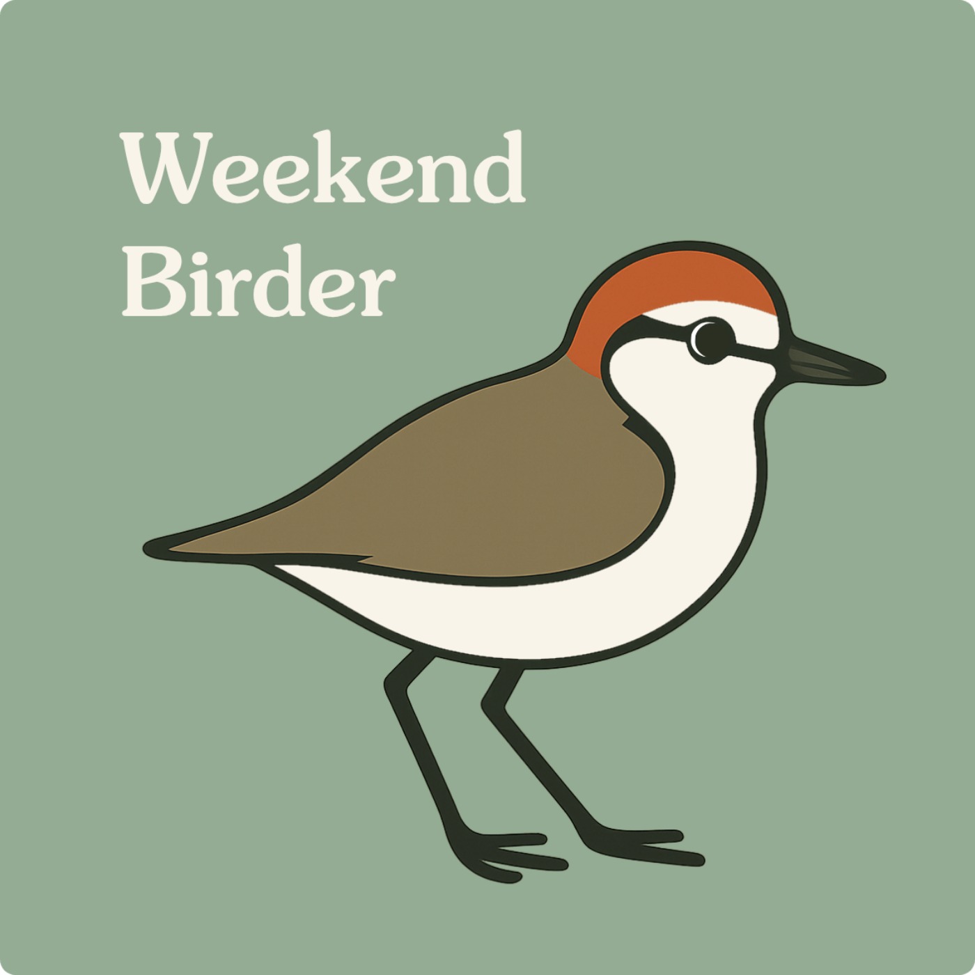13 Shorebirds and Plovers - with Kristal