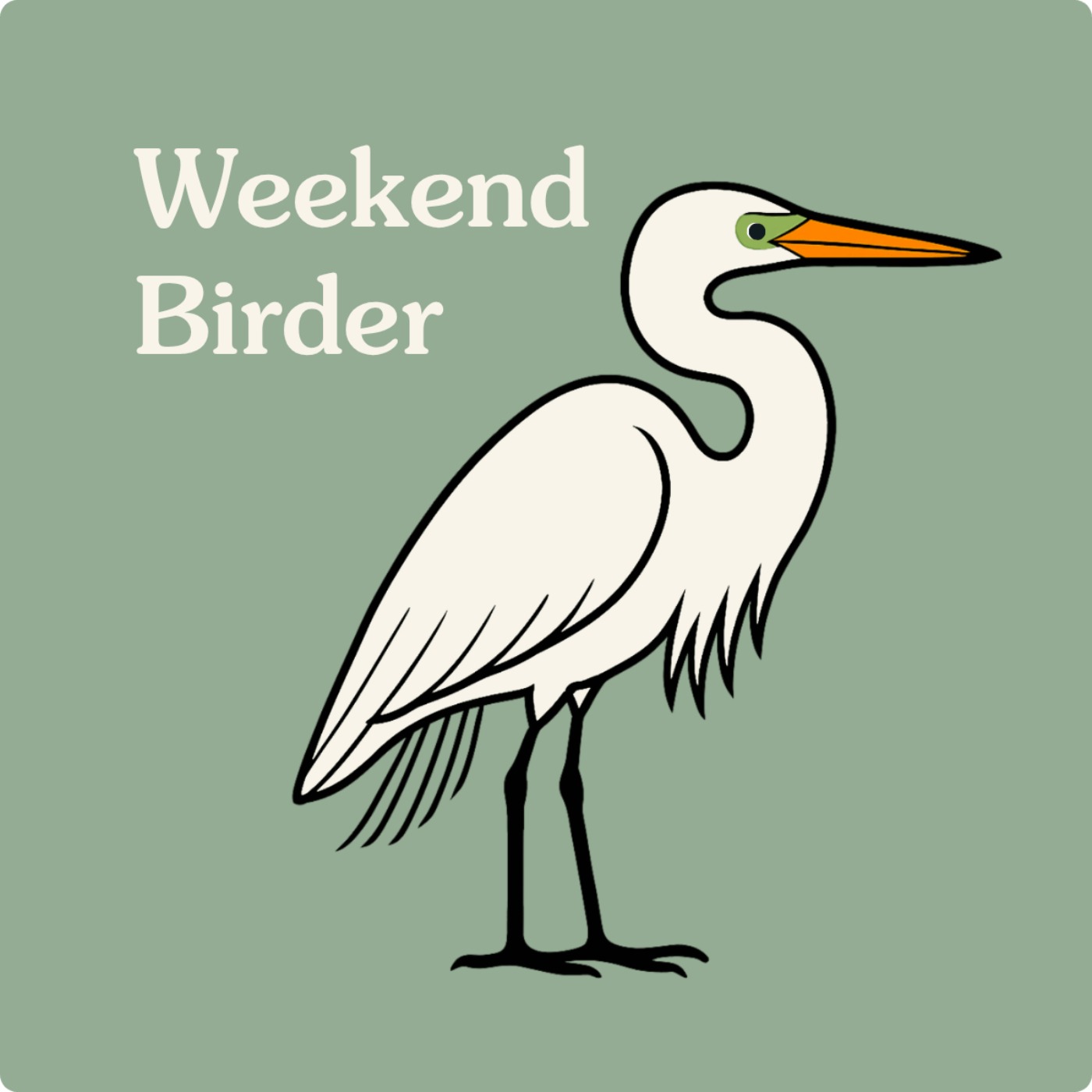 12 Birding in Wetlands - with Peter