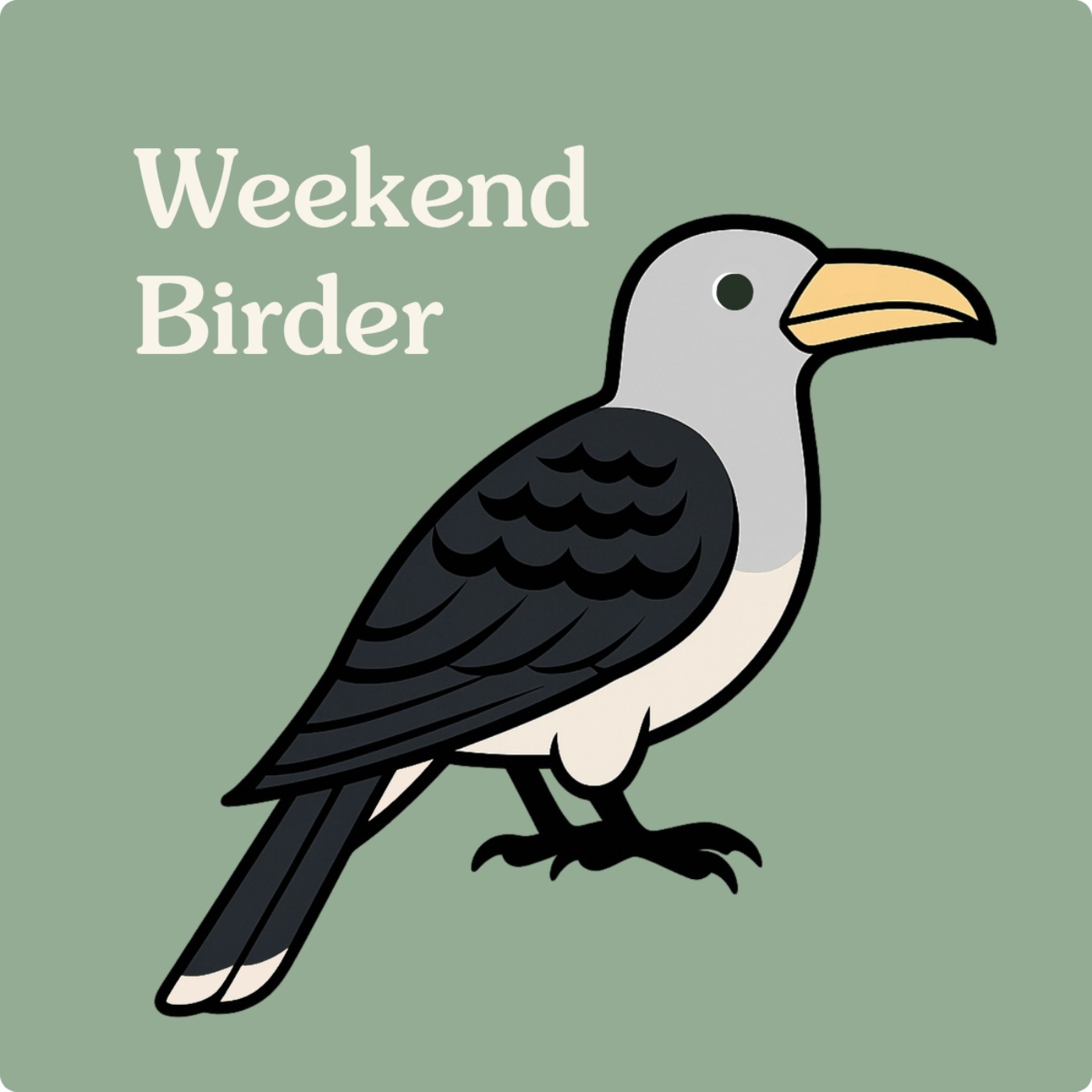 11 Sydney Bird Club - with Amy and Stephanie