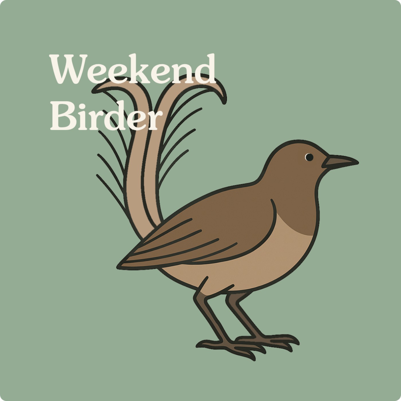17 Female Birds - with Vicky