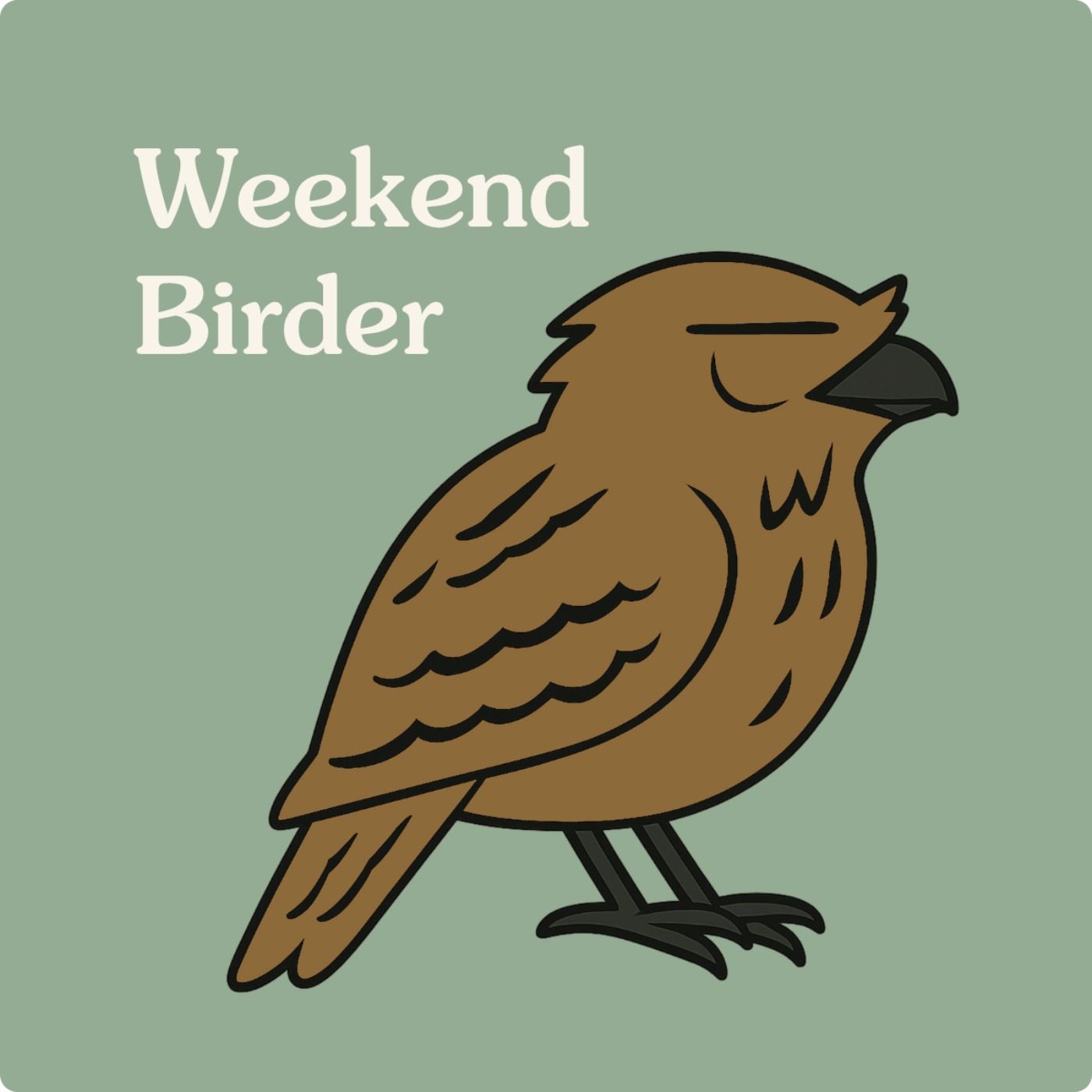 Encore: Tawny Frogmouths - with Marian
