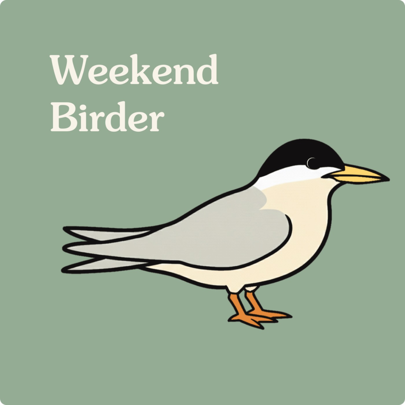 138 Terns (Part 2) - with Claire