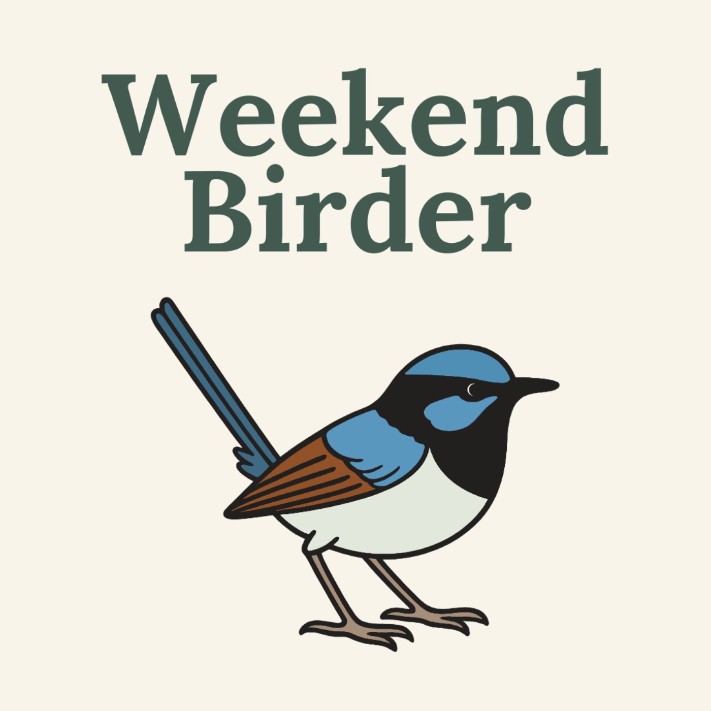 Weekend Birder