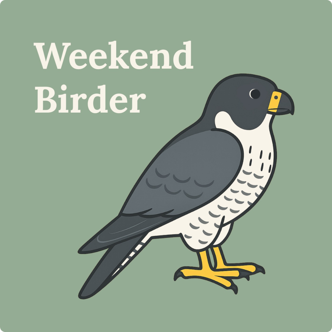 141 Birding Between Games