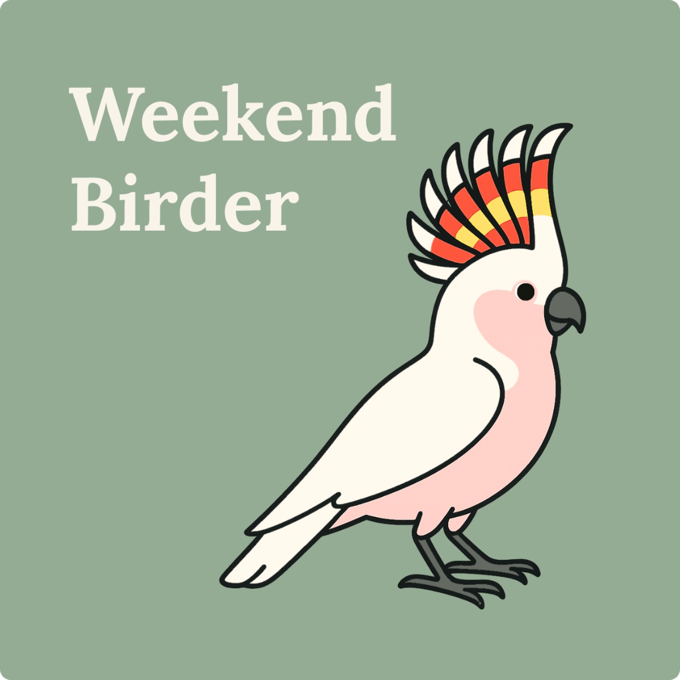 119 Birds that Connect Us - with Amanda