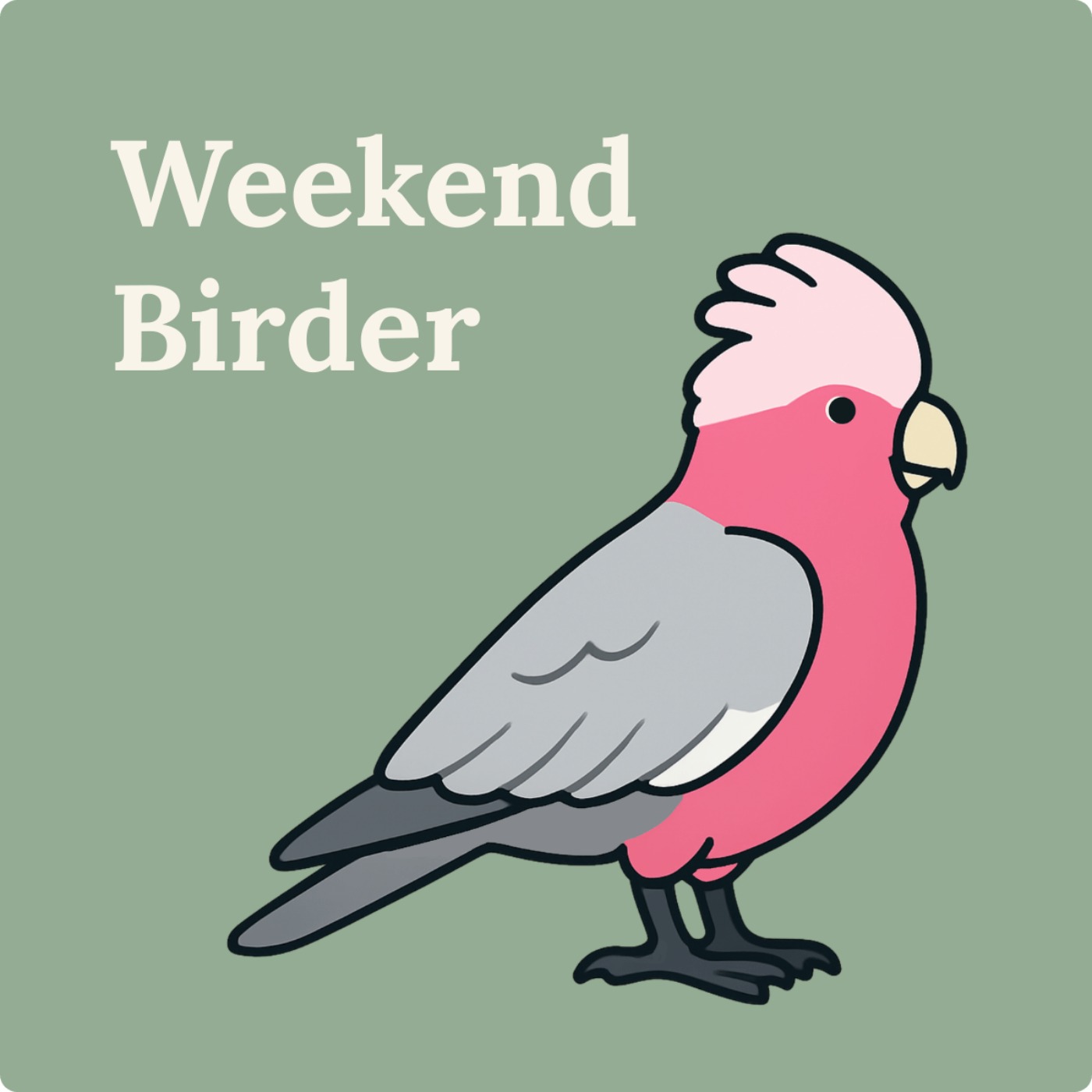 121 Bird Bird Bird - with Rove