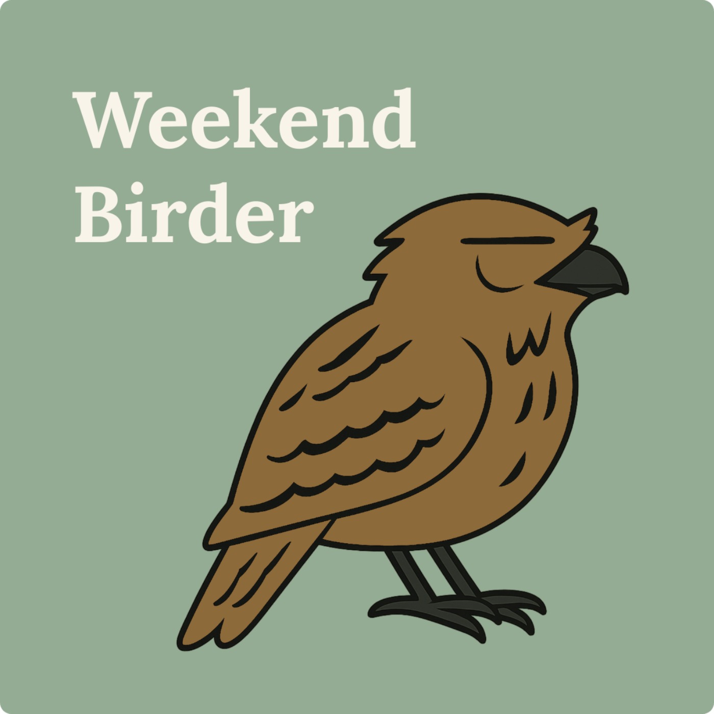 Encore: Tawny Frogmouths - with Marian
