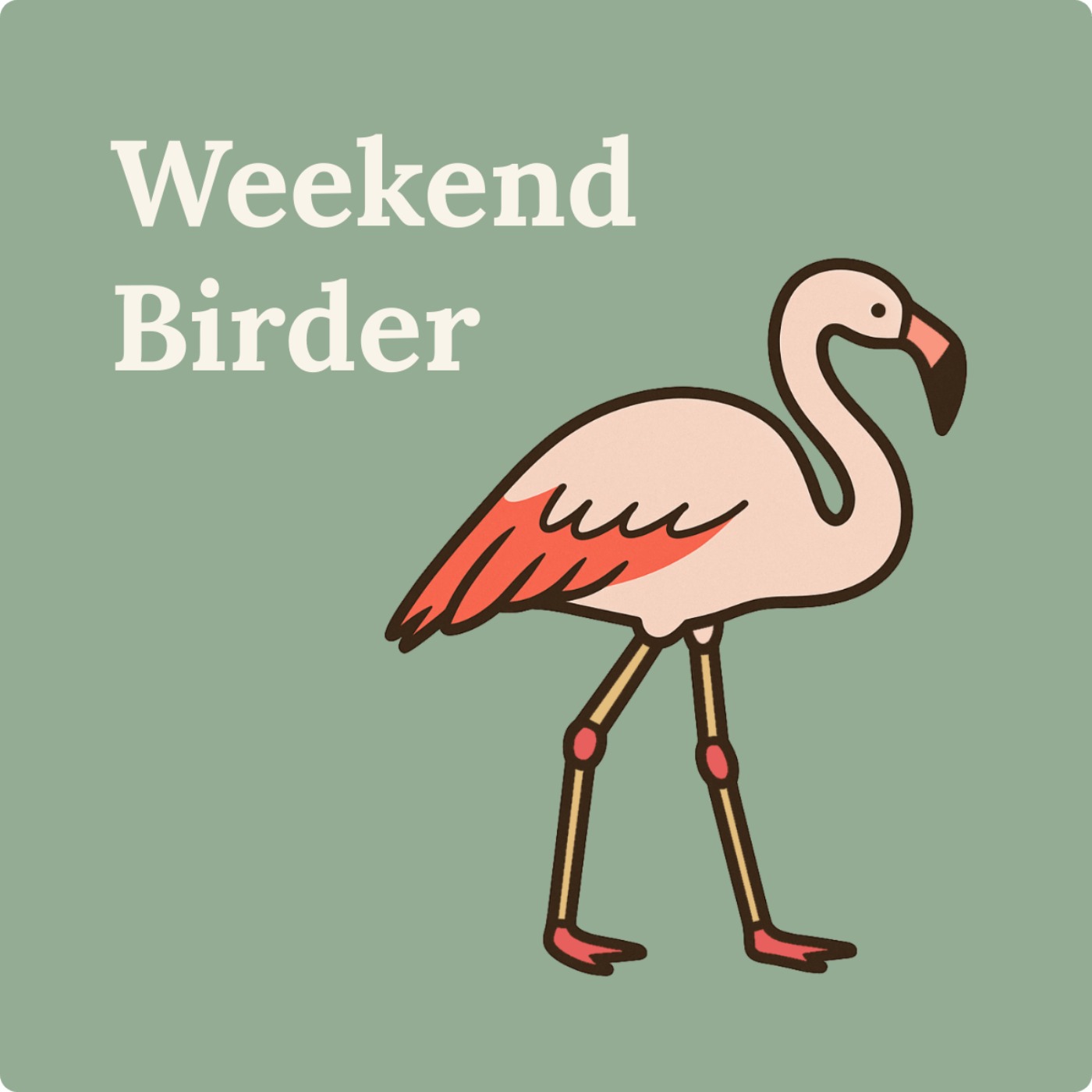 123 Every Bird in the World - with Cob