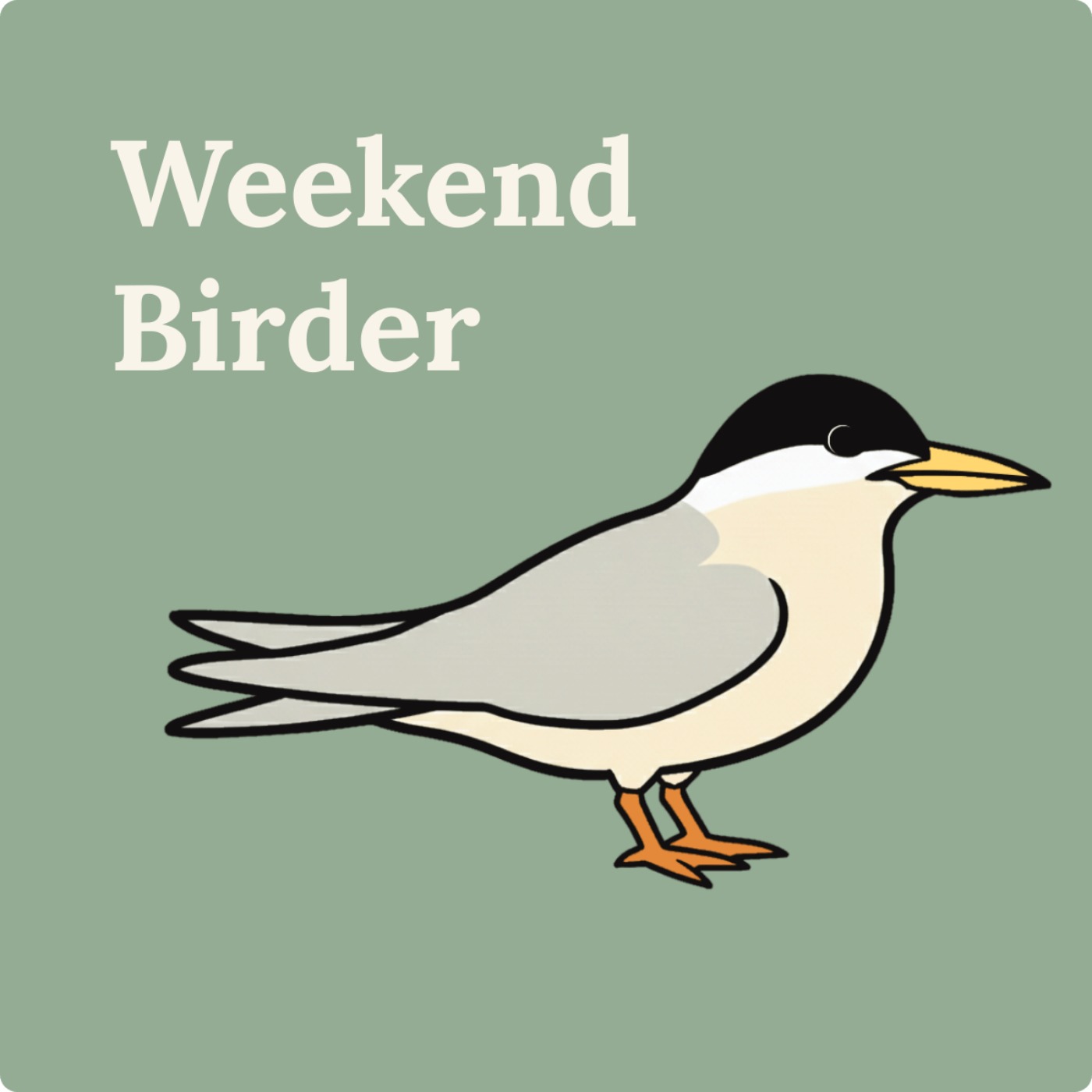 138 Terns (Part 2) - with Claire