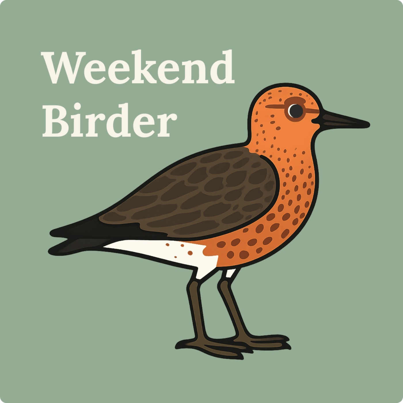 115 Casual Birding - with Suzy