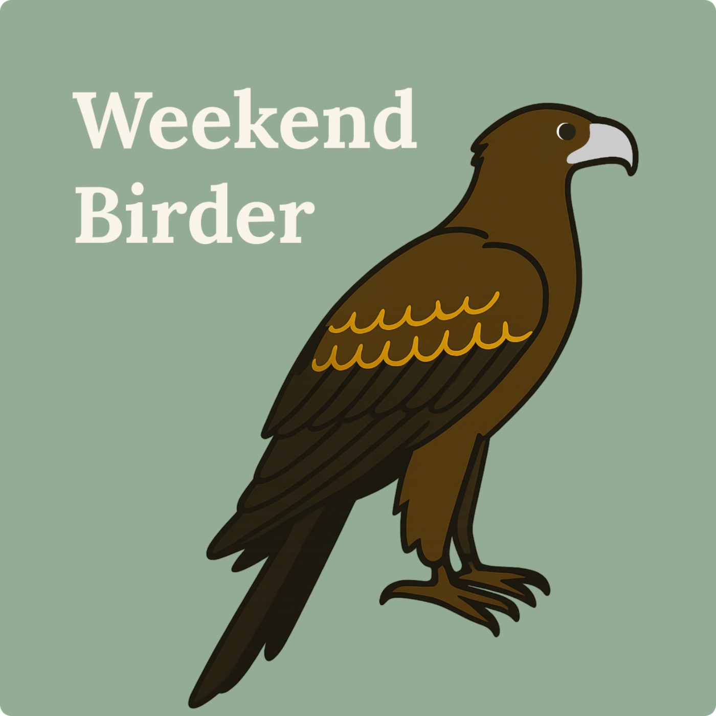 114 Bird of Prey Q&A - with Steve