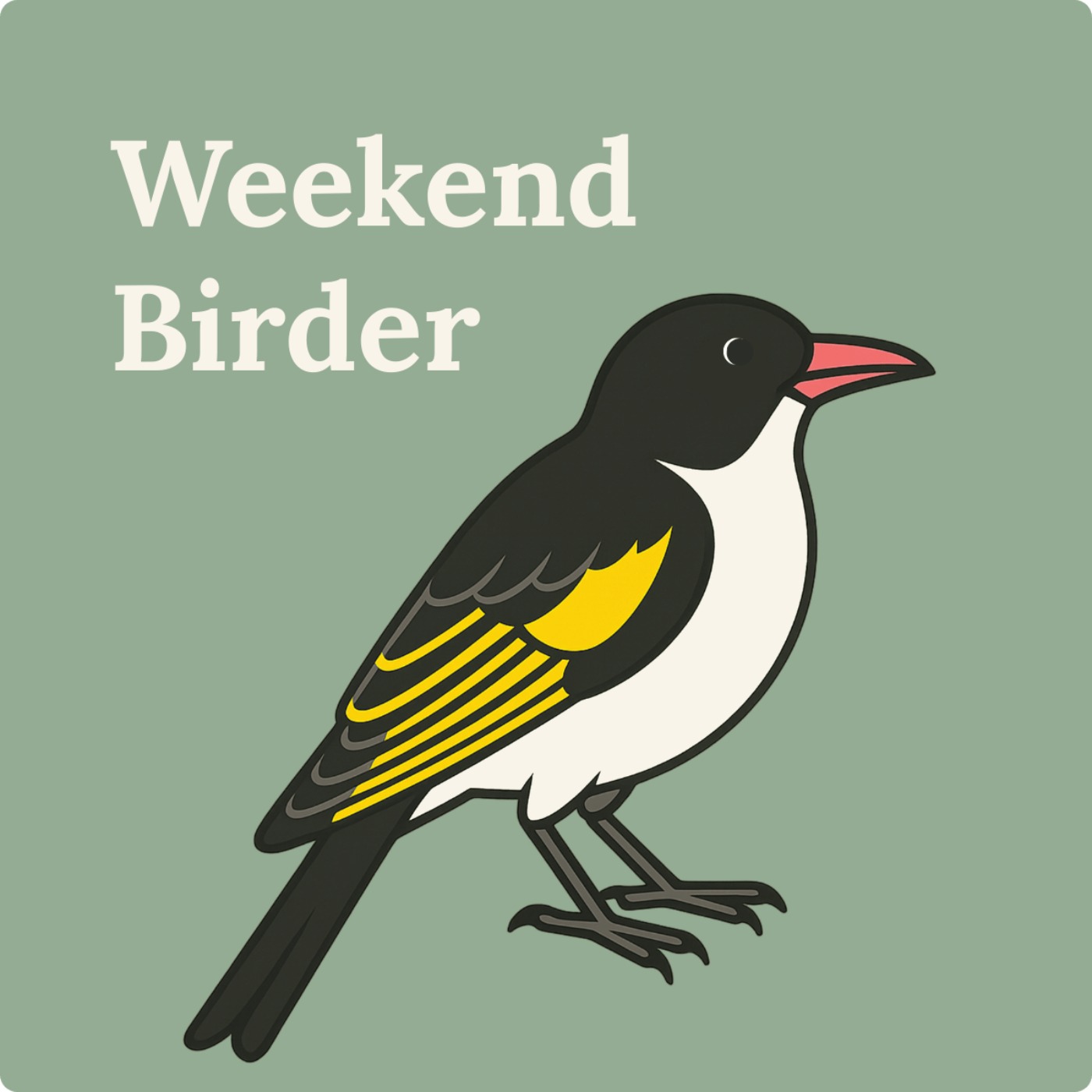 112 Bird Videos - with Scot