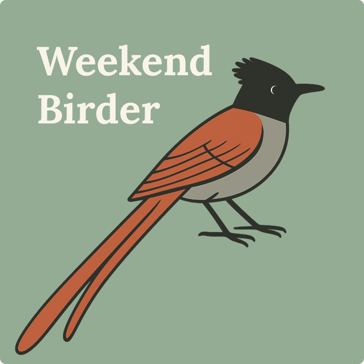 102 Birds and Music - with Ruby