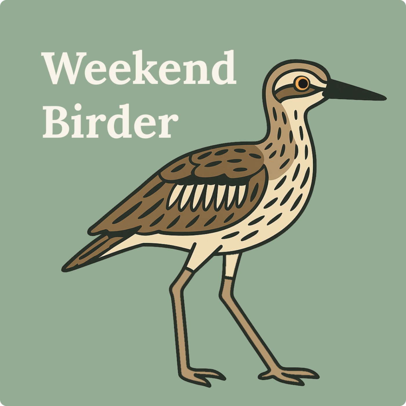 98 Bush Stone-curlews - with Paula