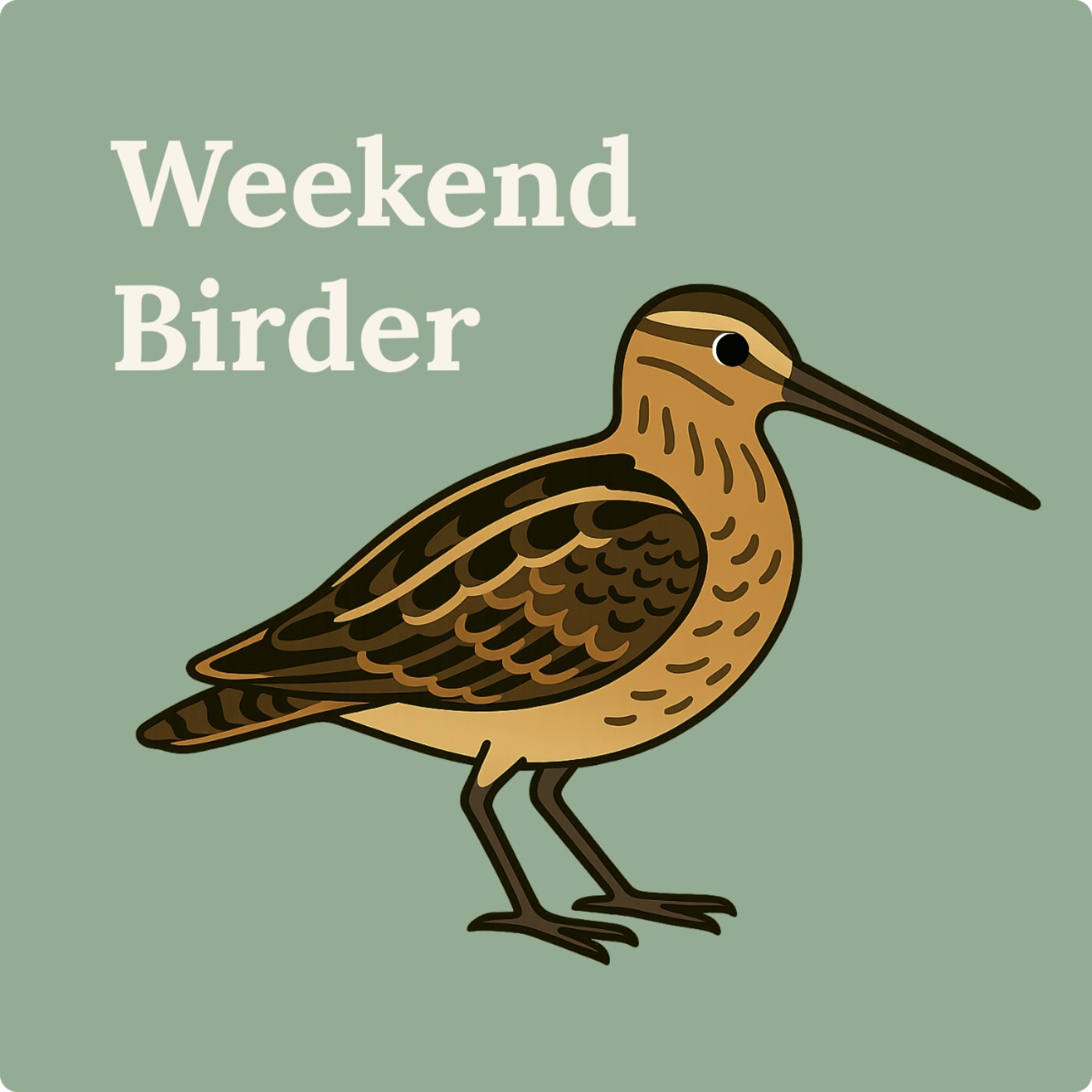 79 Latham's Snipe - with Birgita