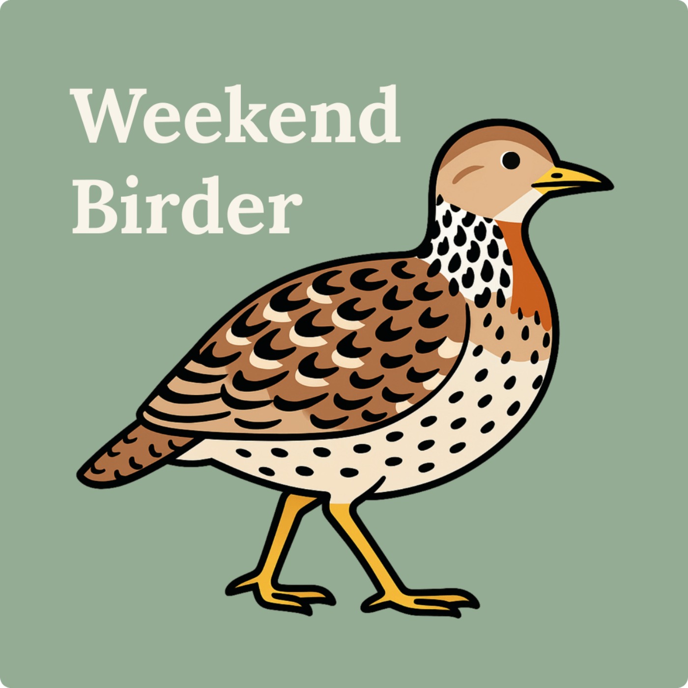 77 Plains-wanderer - with Chris
