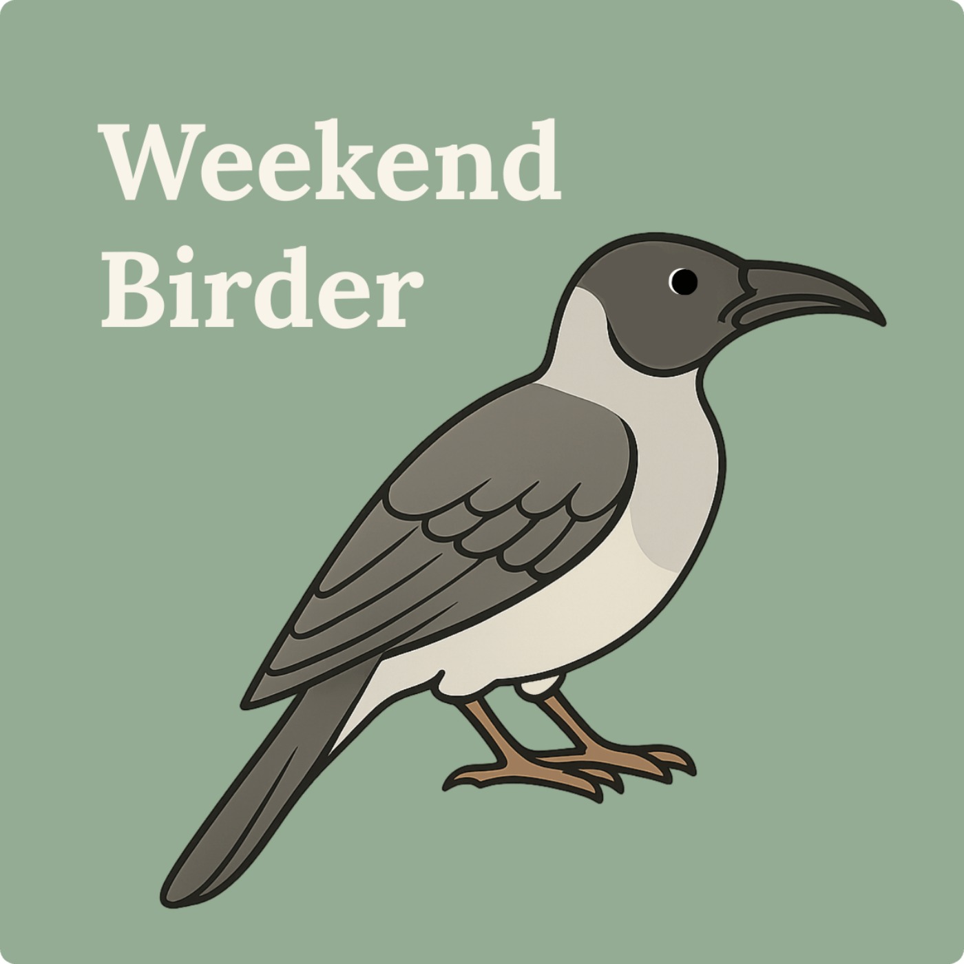 76 Bird Walks - with Damian