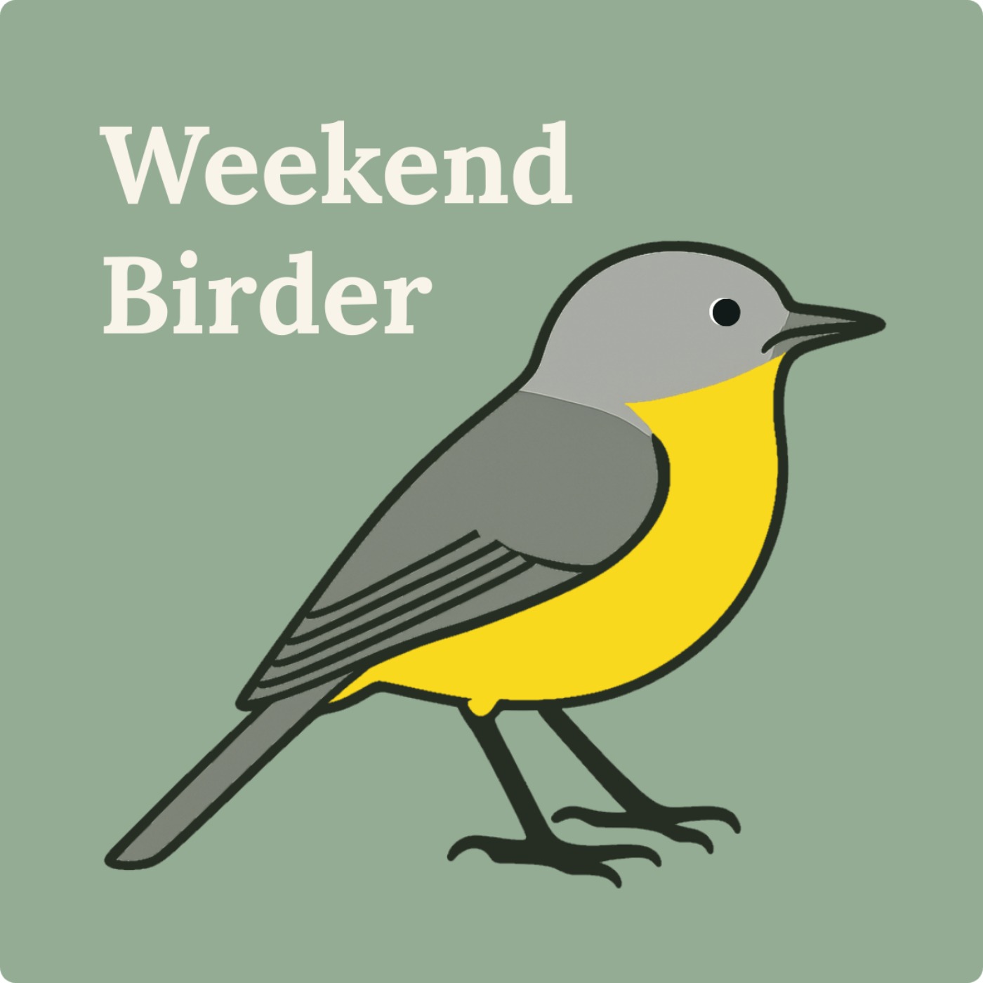 74 Eastern Yellow Robin - with Lana
