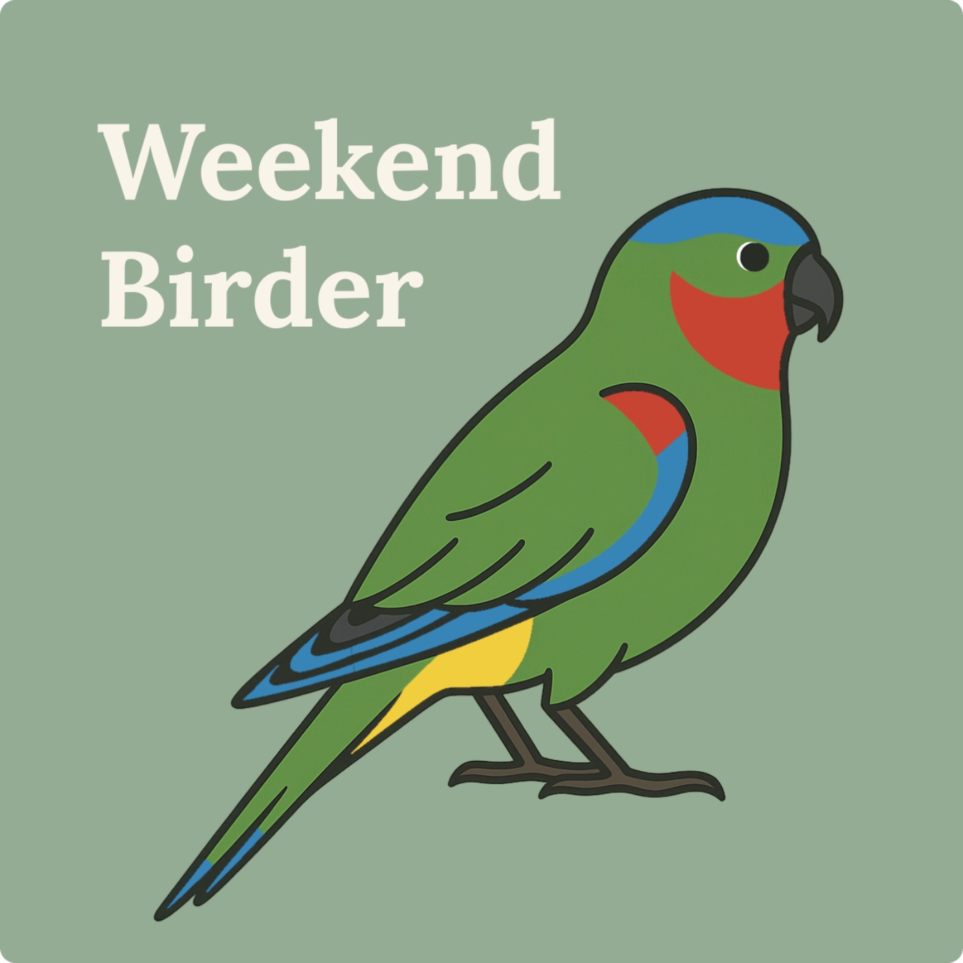 66 Swift Parrots - with Beau