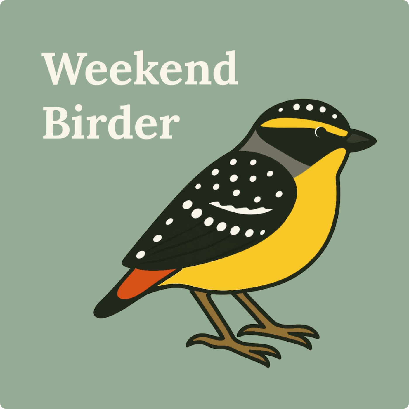 65 Birding on a Balcony - with Christine